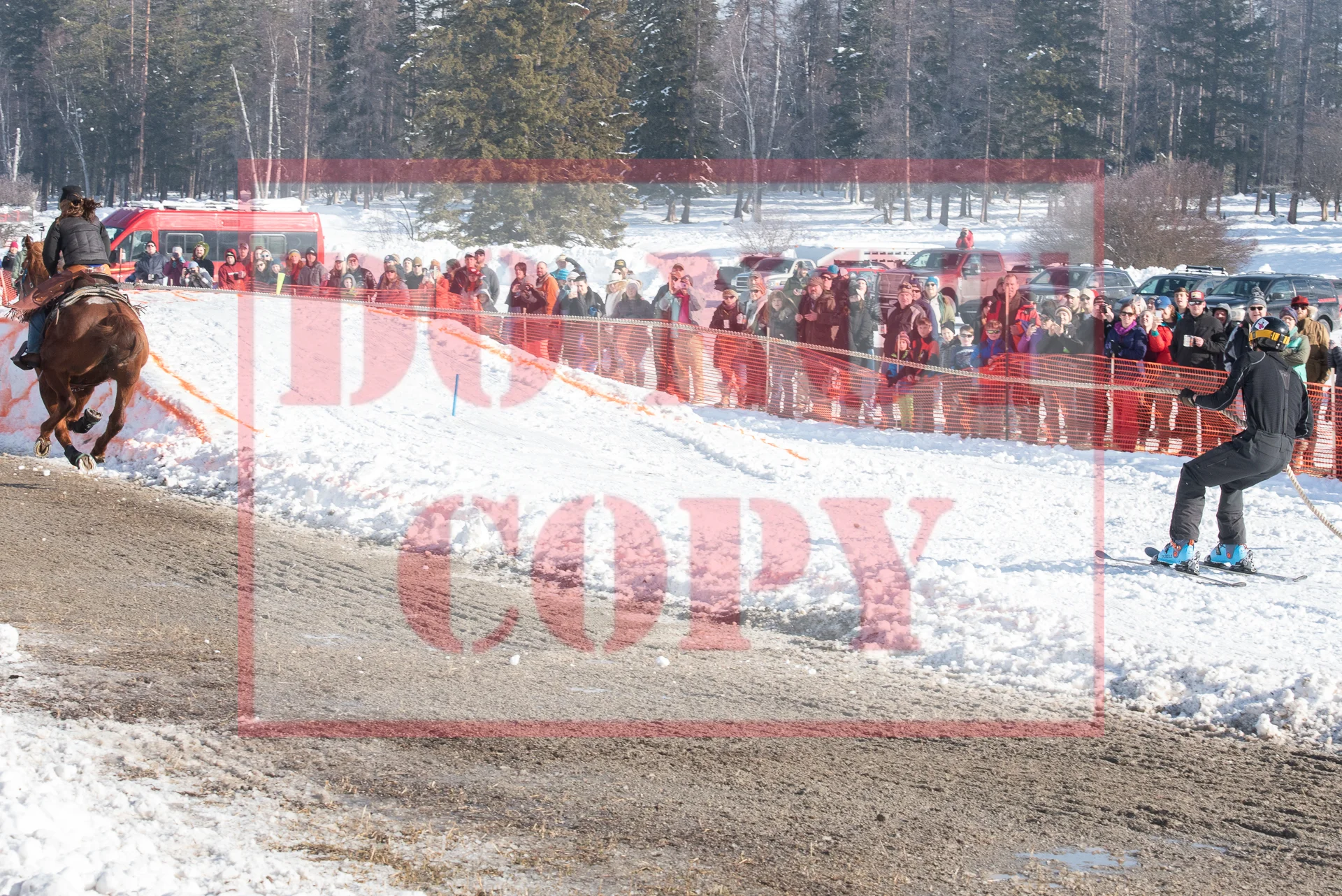 _DSC0394.jpg