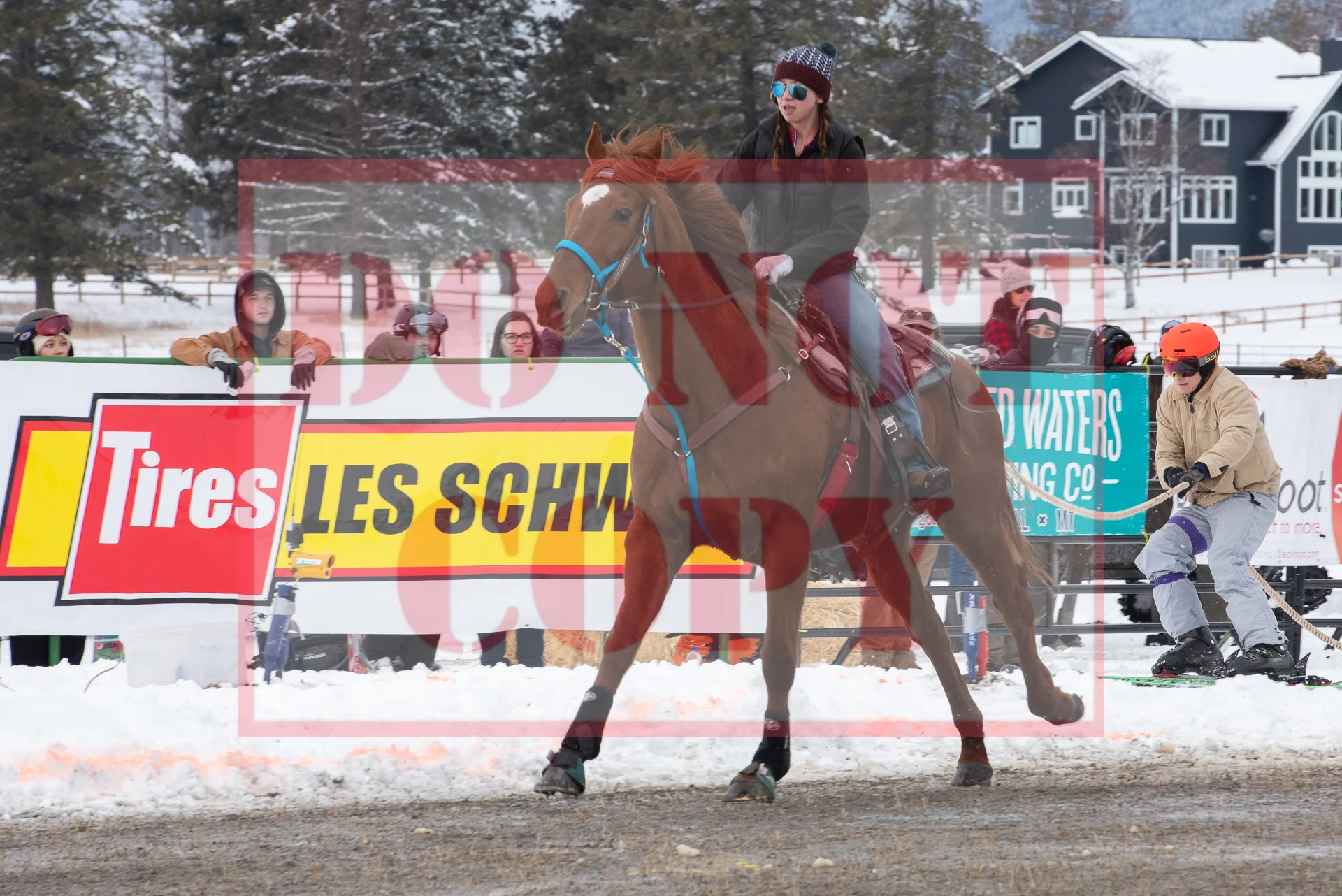 _DSC9262.jpg
