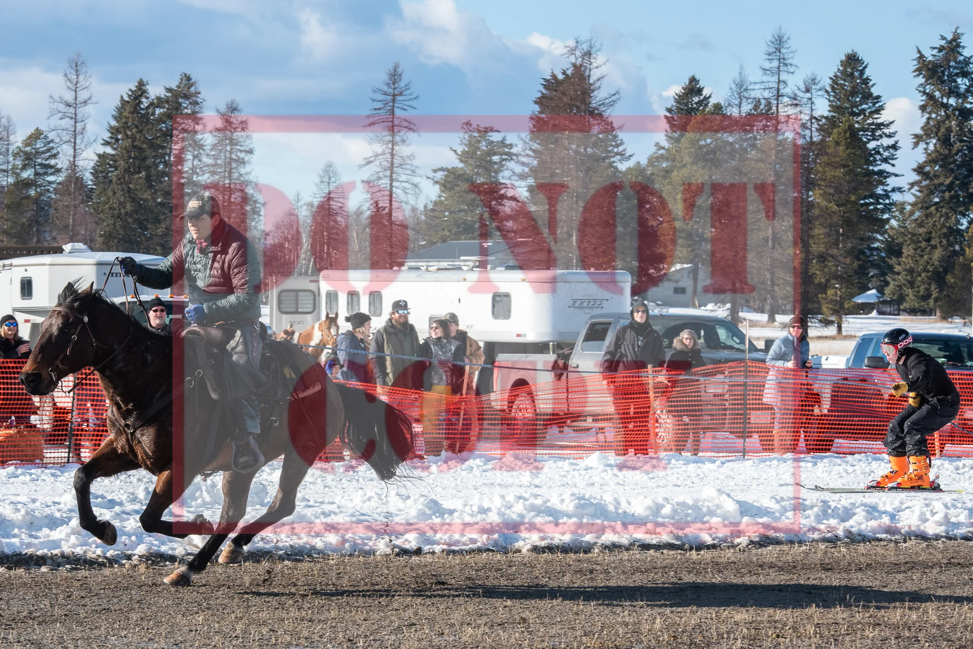 _DSC0877.jpg