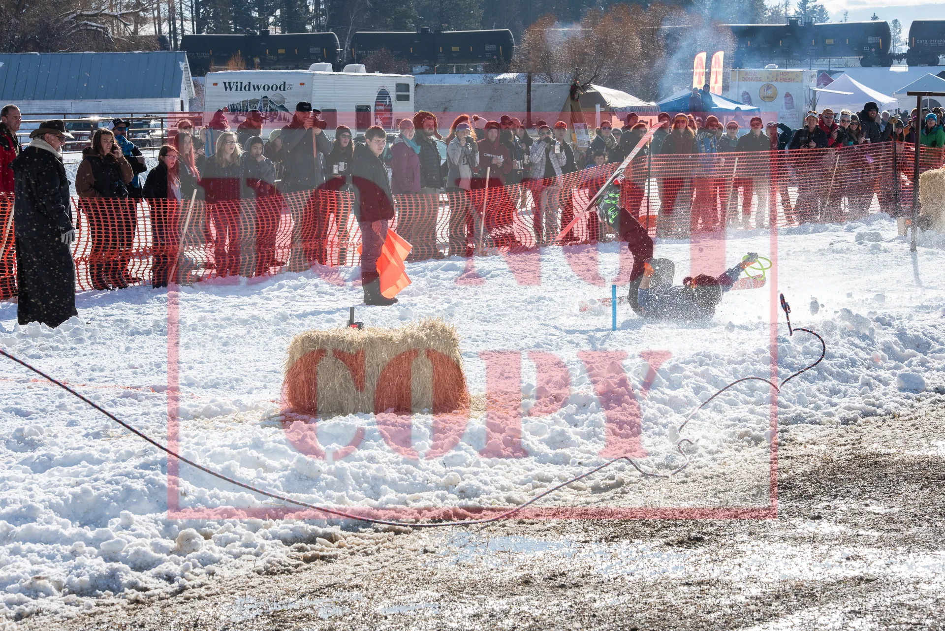 _DSC0602.jpg