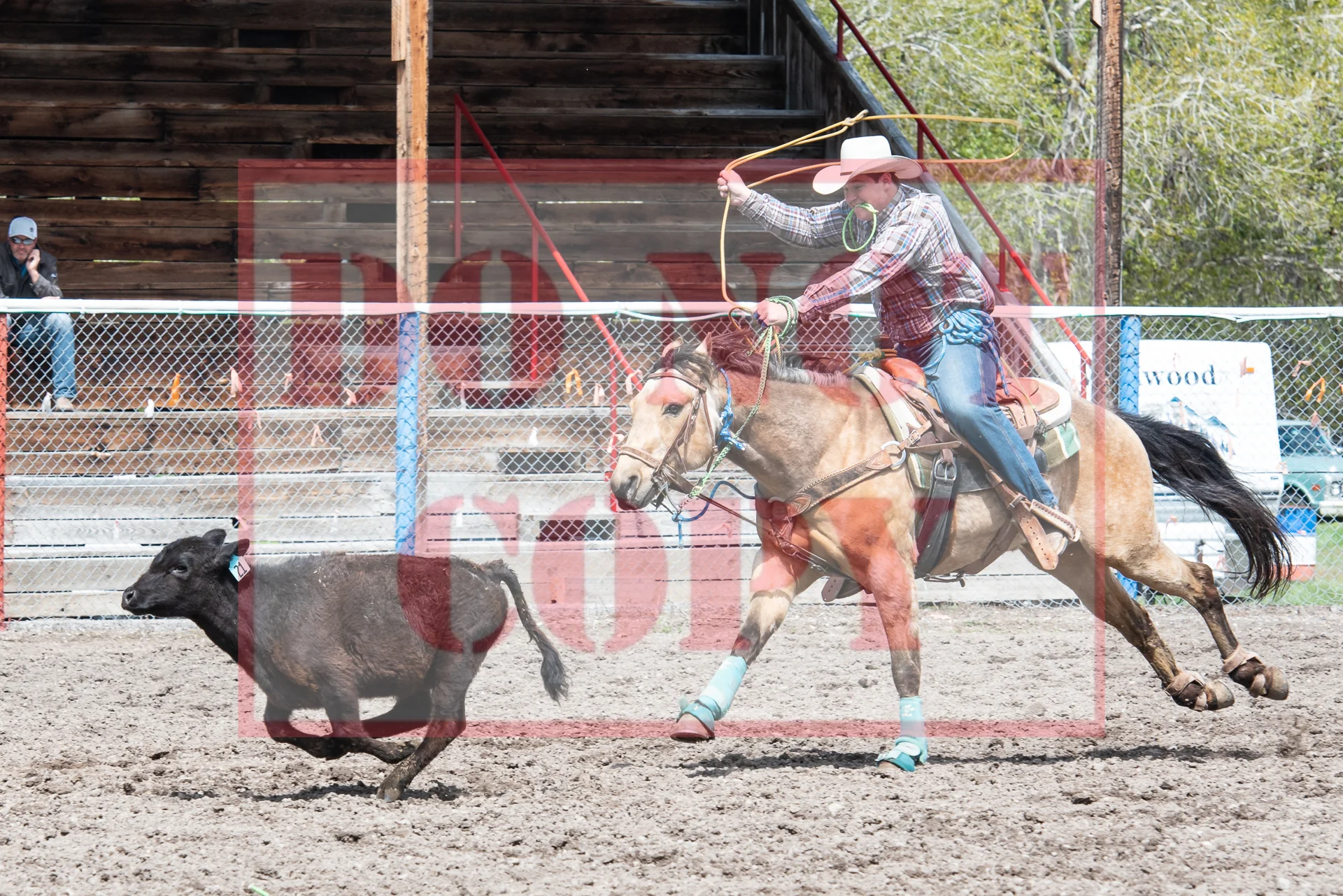 _DSC8984.jpg