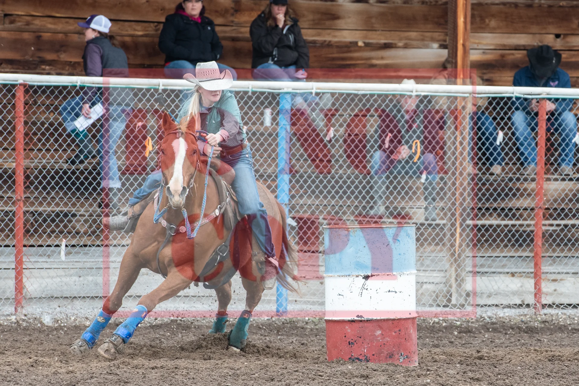 _DSC8557.jpg
