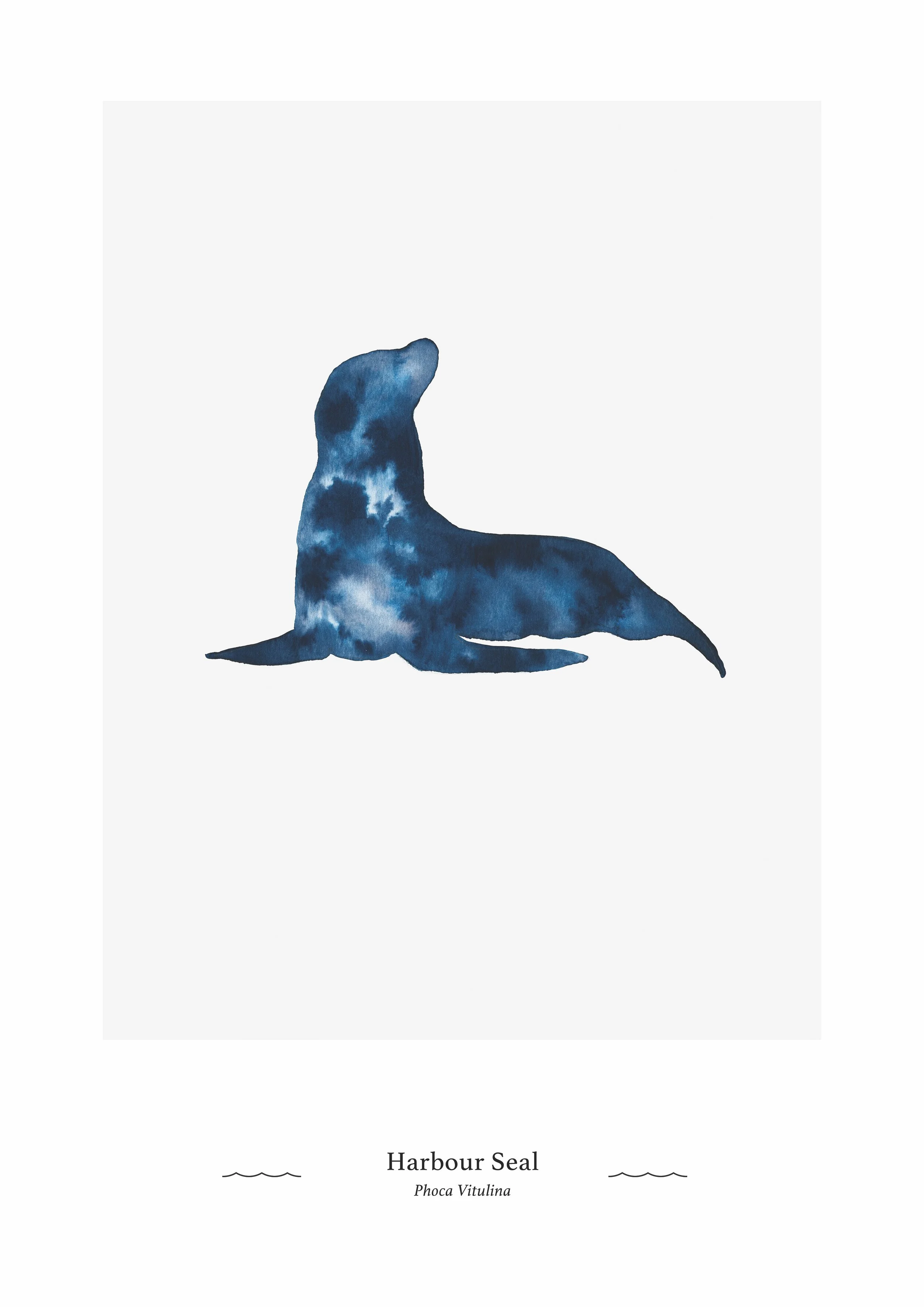 seal copy.jpg