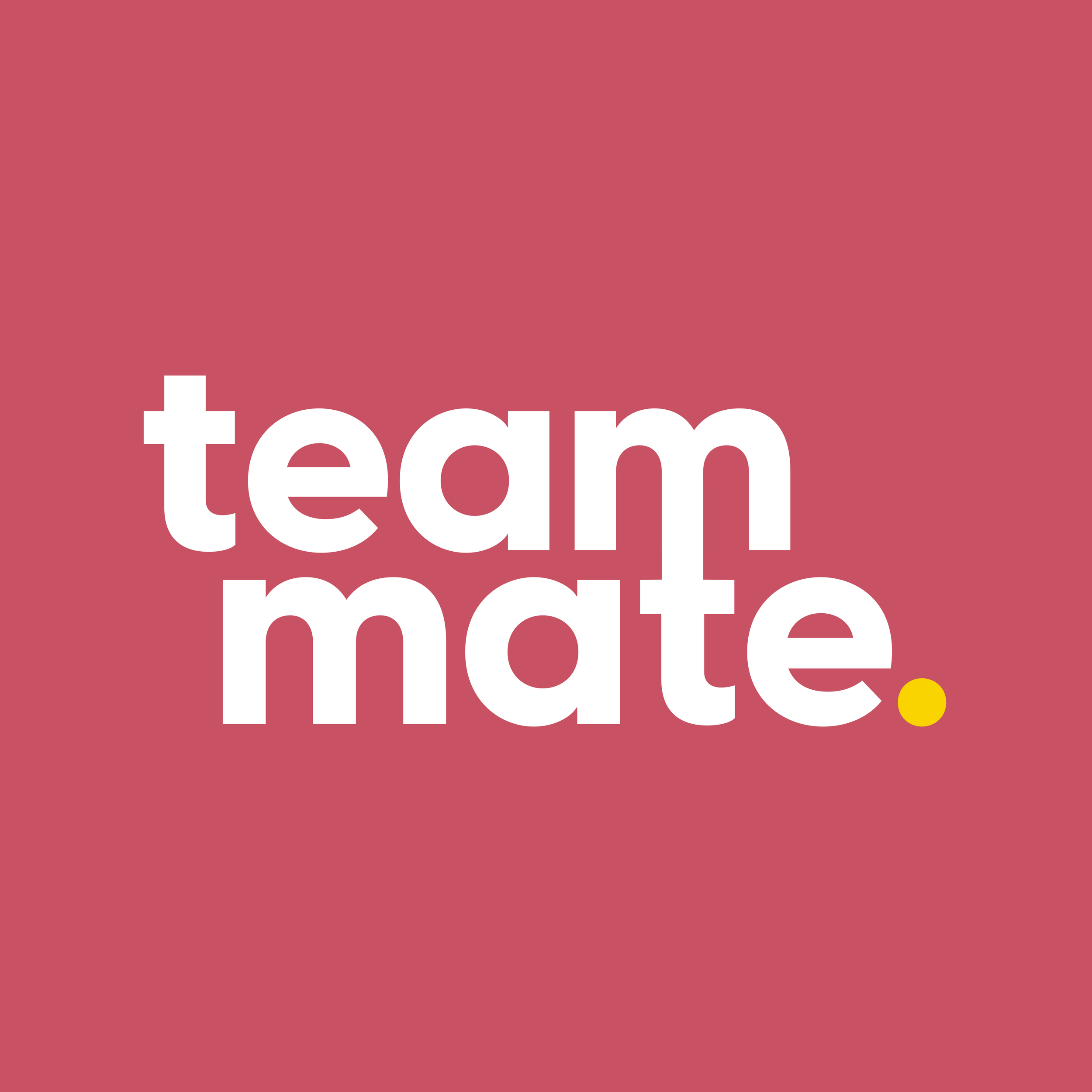 Teammate