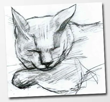Cleo sleeping