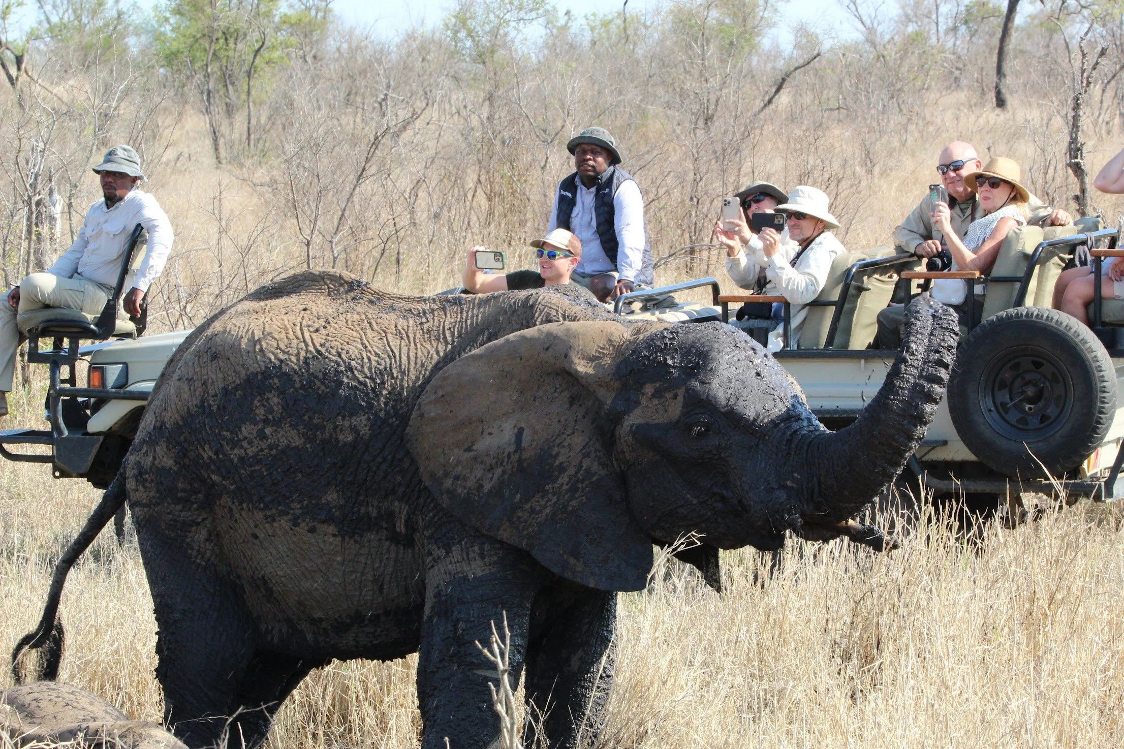 Safari jeep.jpeg