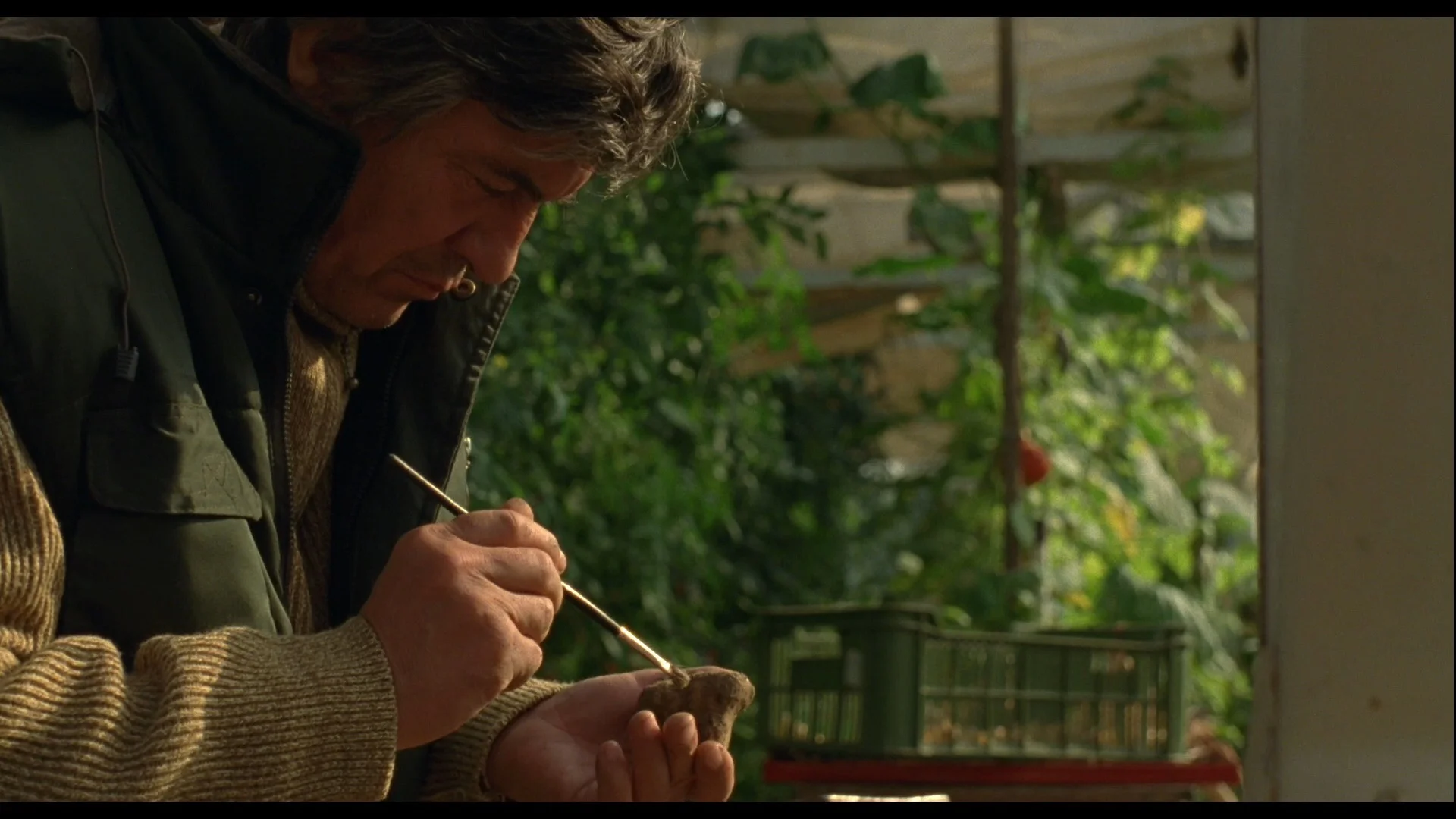 Tartufo Stills_1.1.3.jpeg