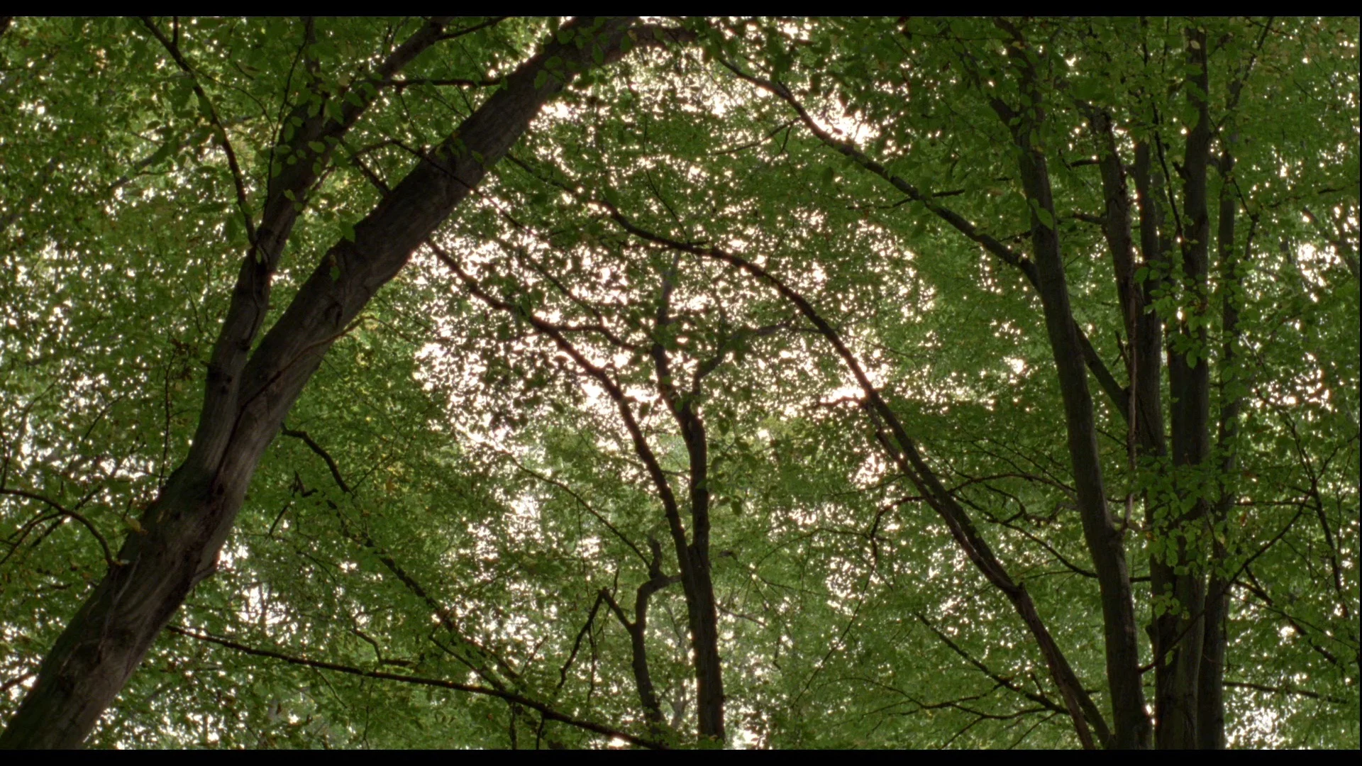 Tartufo Stills_1.1.1.jpeg