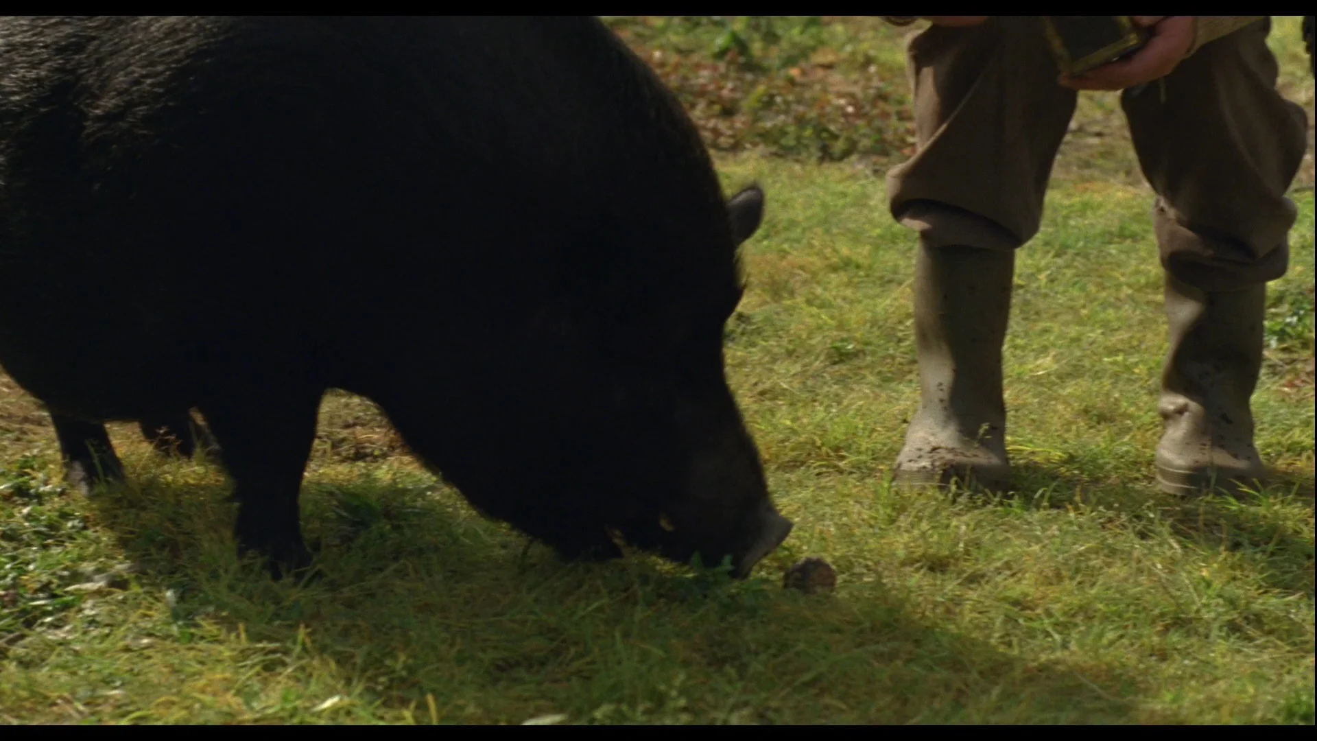 Tartufo Stills_1.1.7.jpeg