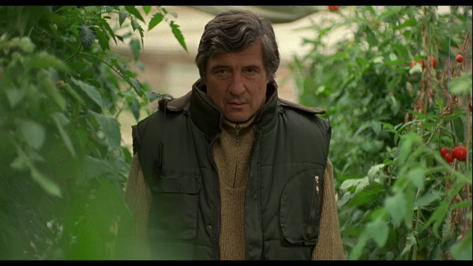 Tartufo Stills_1.1.6.jpeg