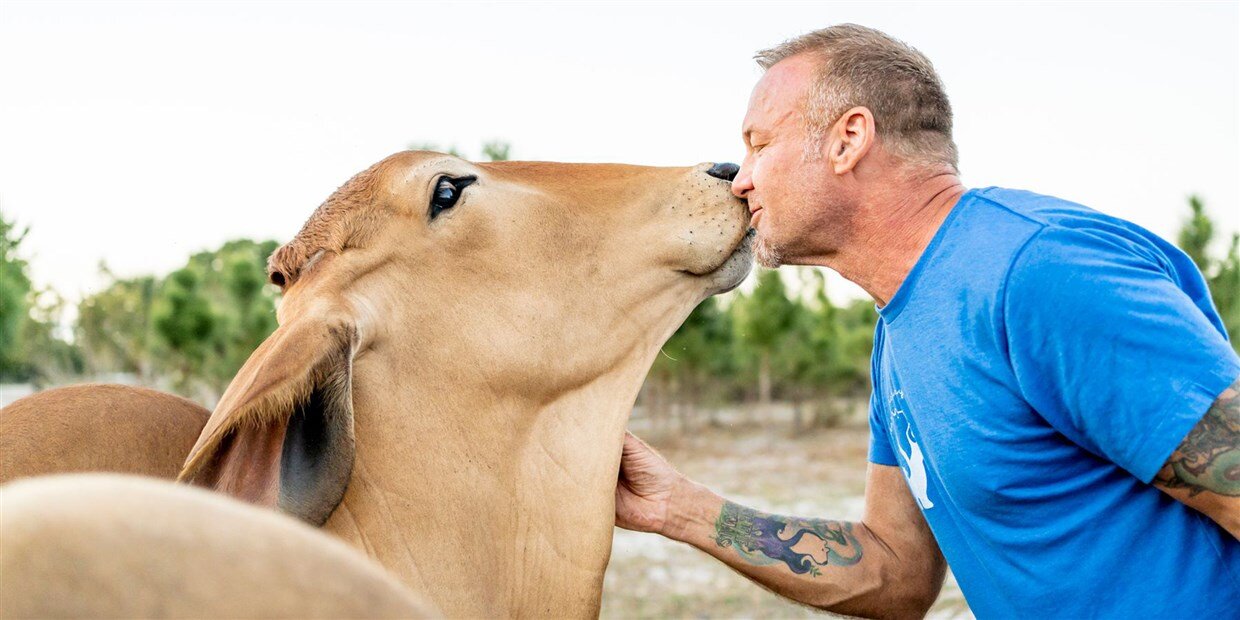En Florida, un hombre fundó un santuario para animales de granja rescatados