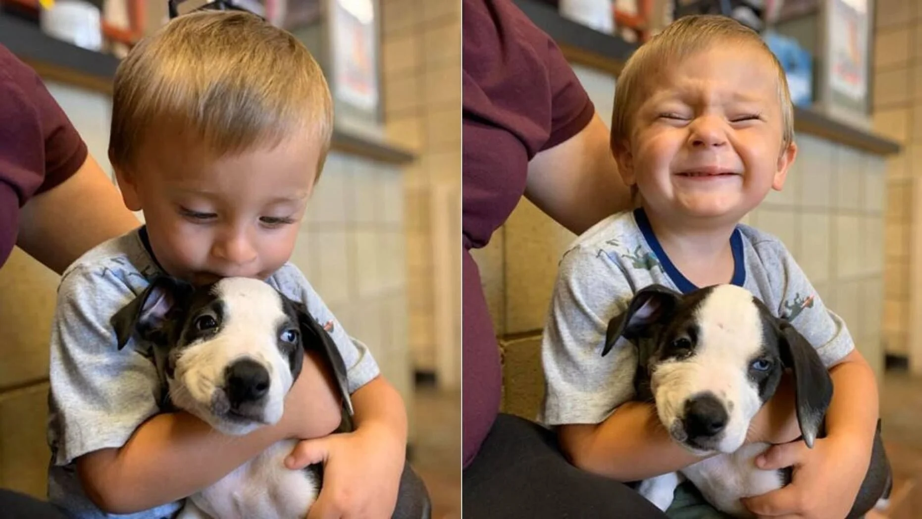 2-year-old boy with cleft lip finds his best friend in a puppy who also has a cleft lip