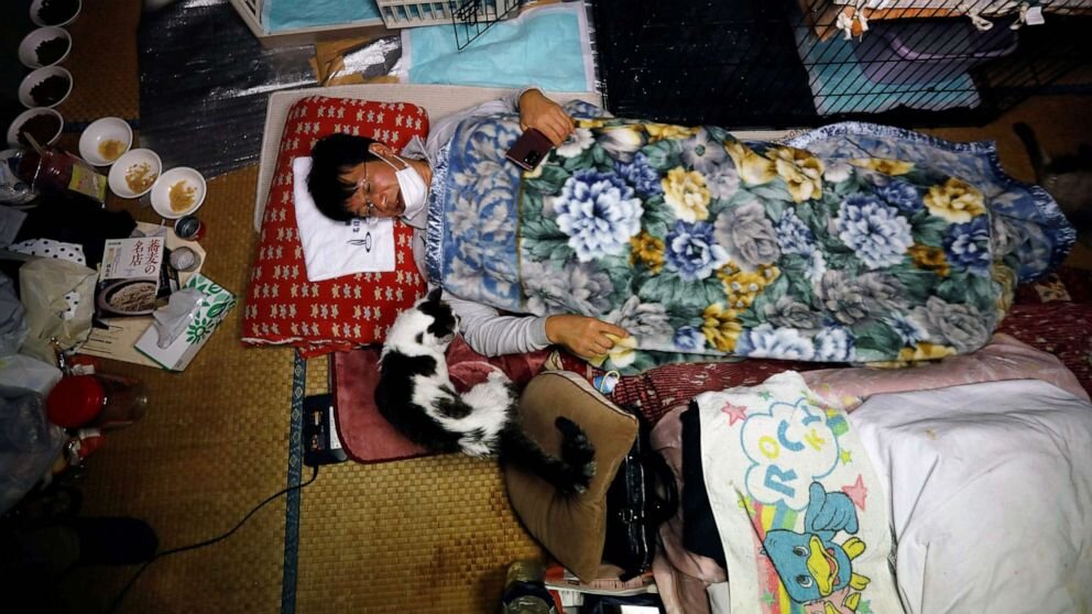 Sakae Kato: héroe de los gatos de Fukushima