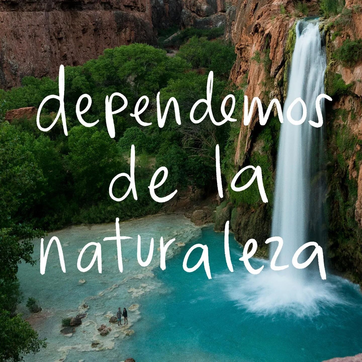 Y es nuestra responsabilidad conservarla 🌿🌎