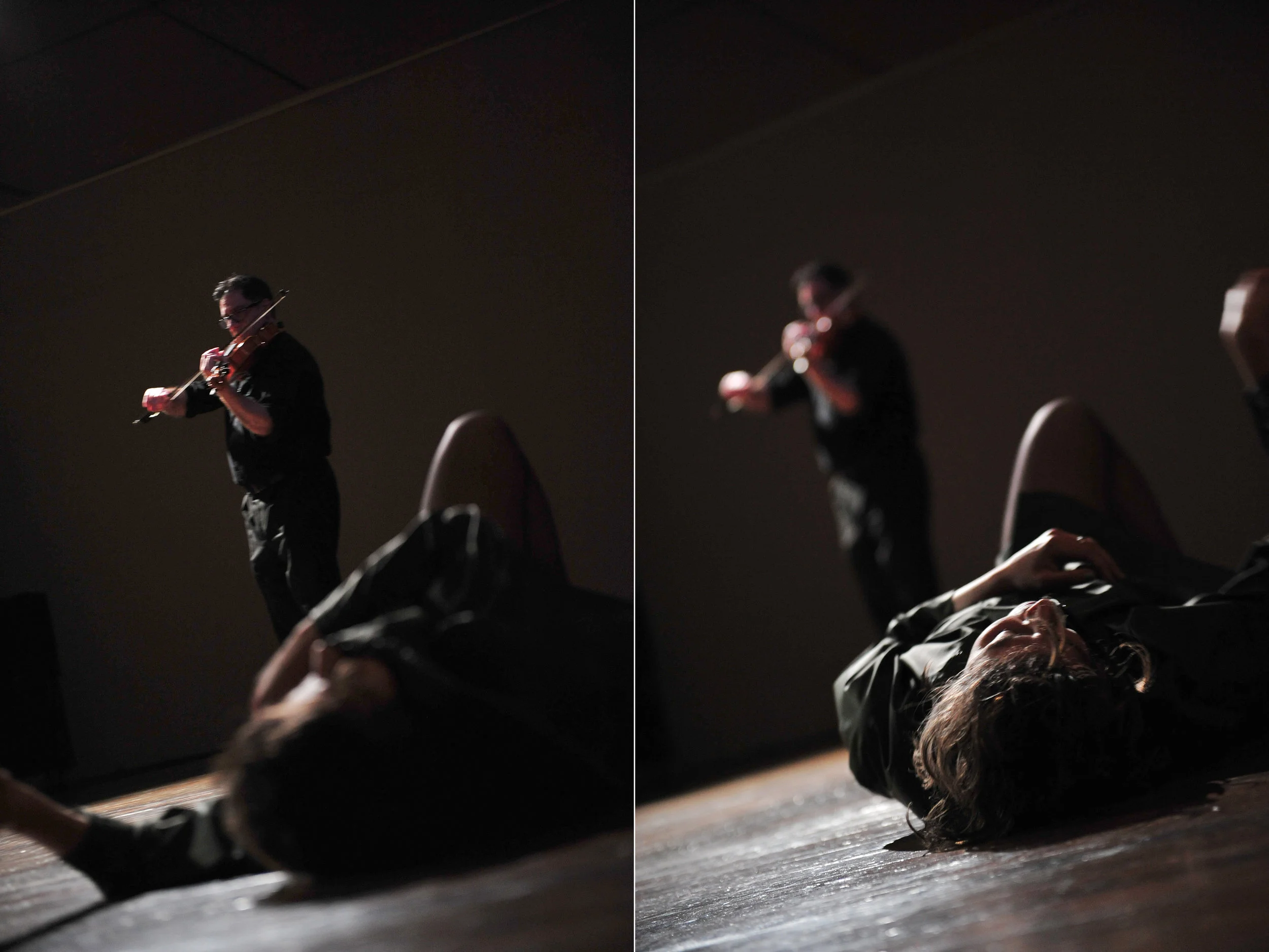 DSC_3351 diptypch.jpg
