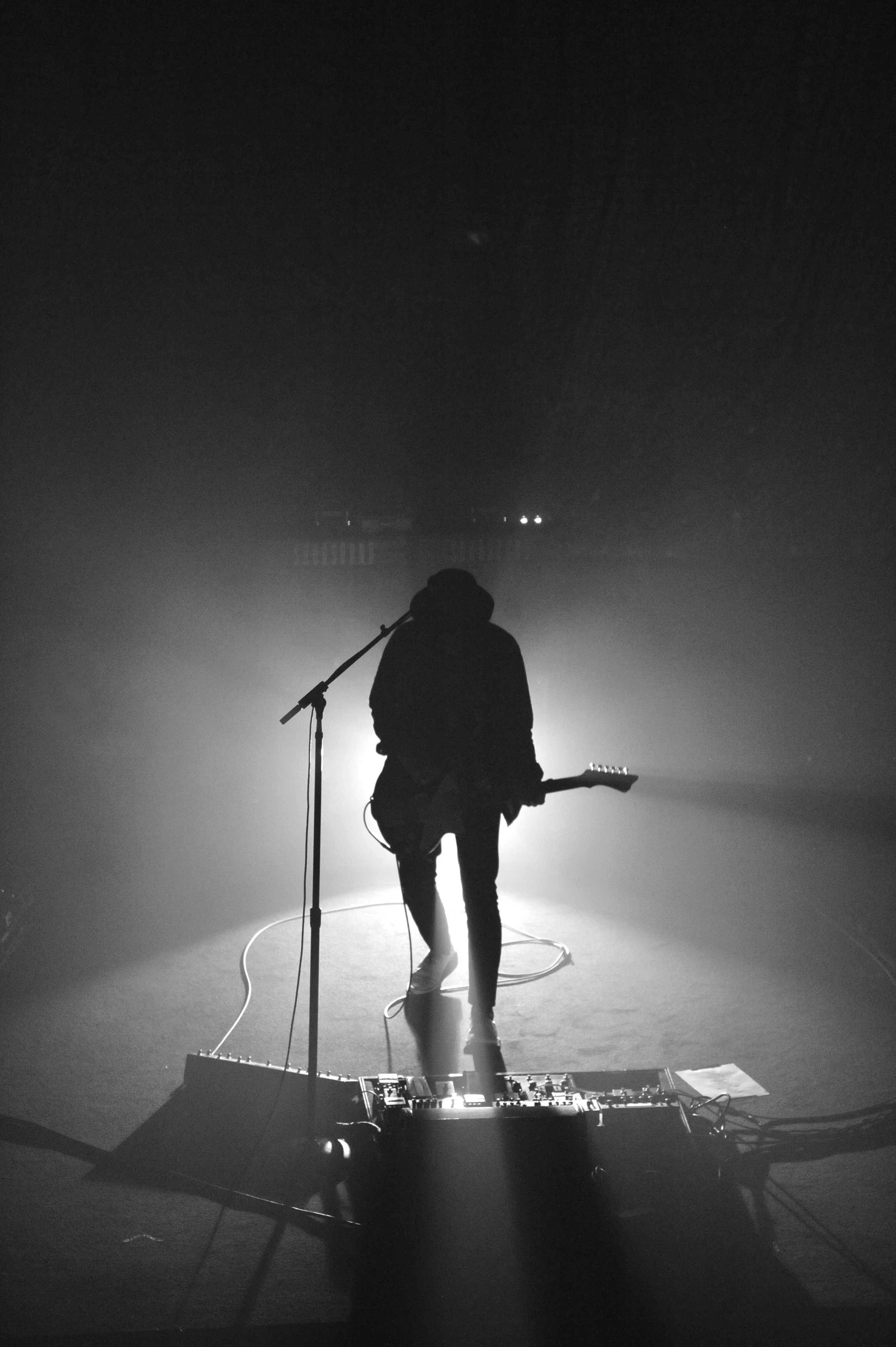 The Dandy Warhols (Peter Holmström)