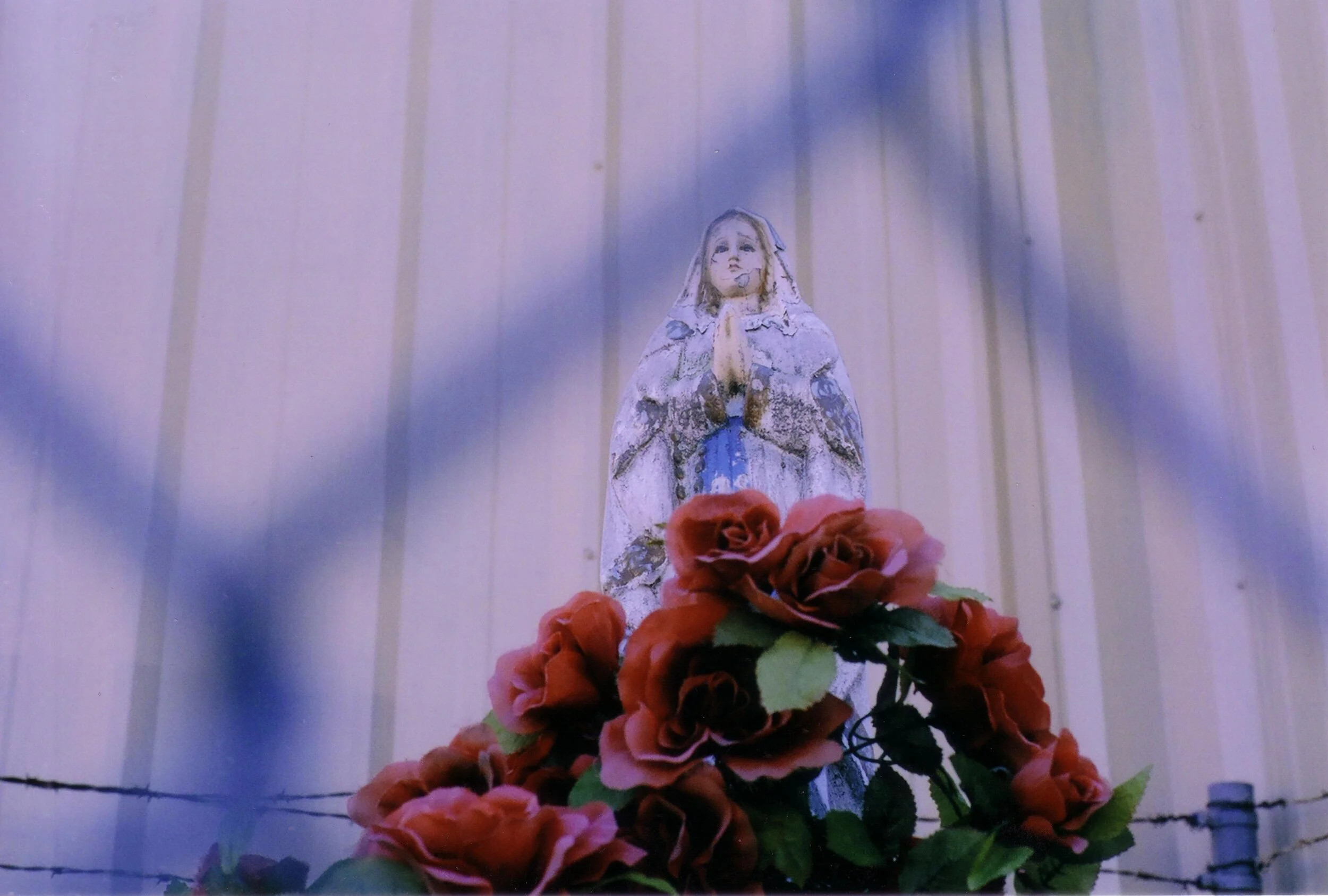 memorial mary.jpg