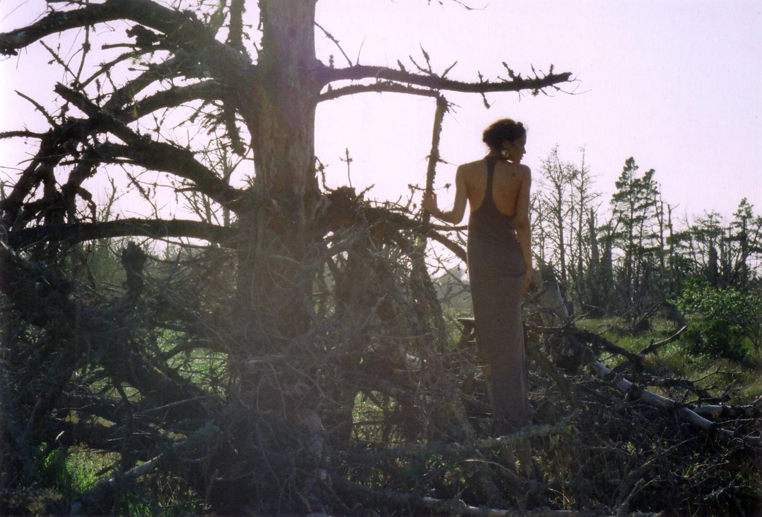 rus anson shoot - dead trees (1).jpg