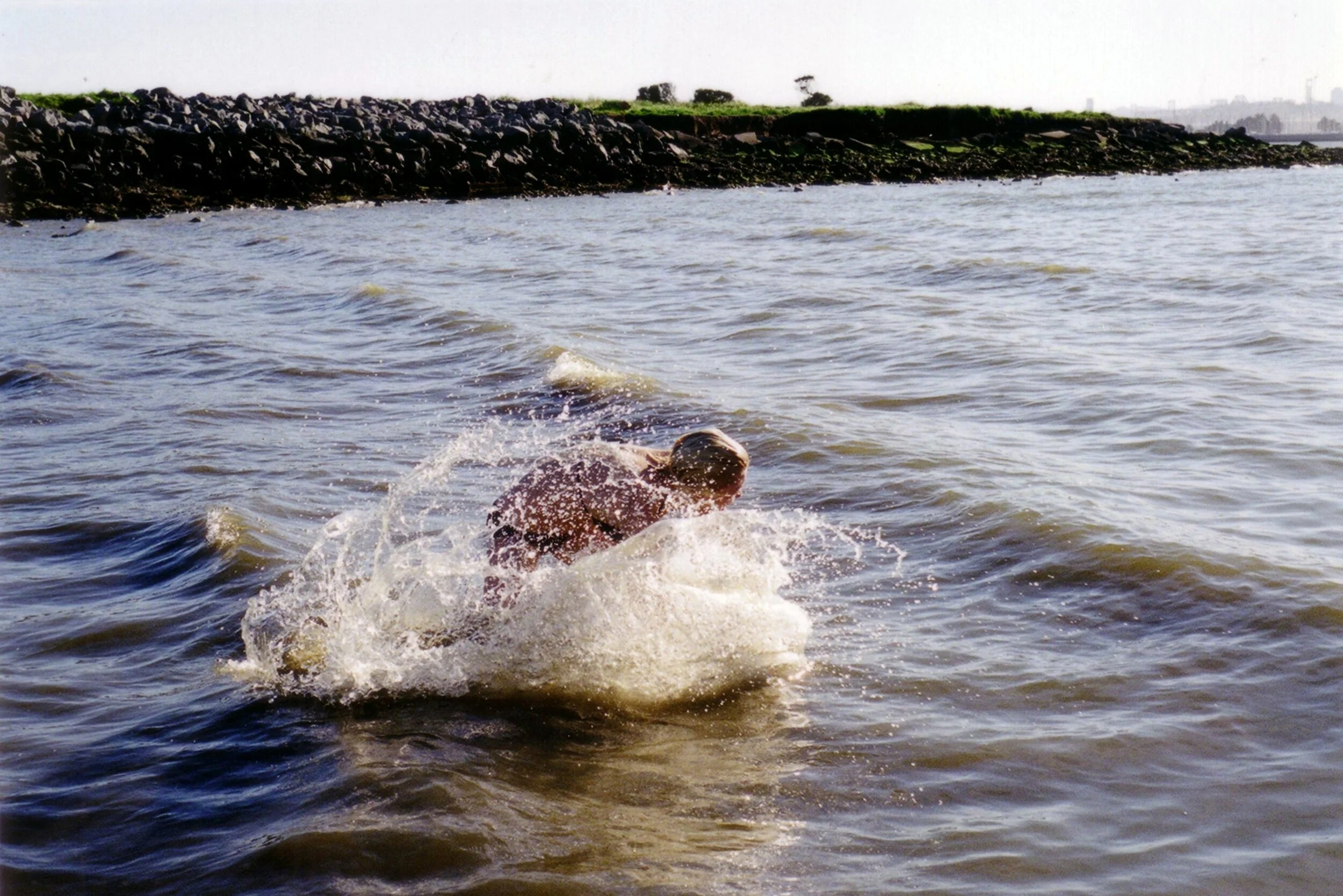 5620200517_6b6a1ac87b_o.jpg