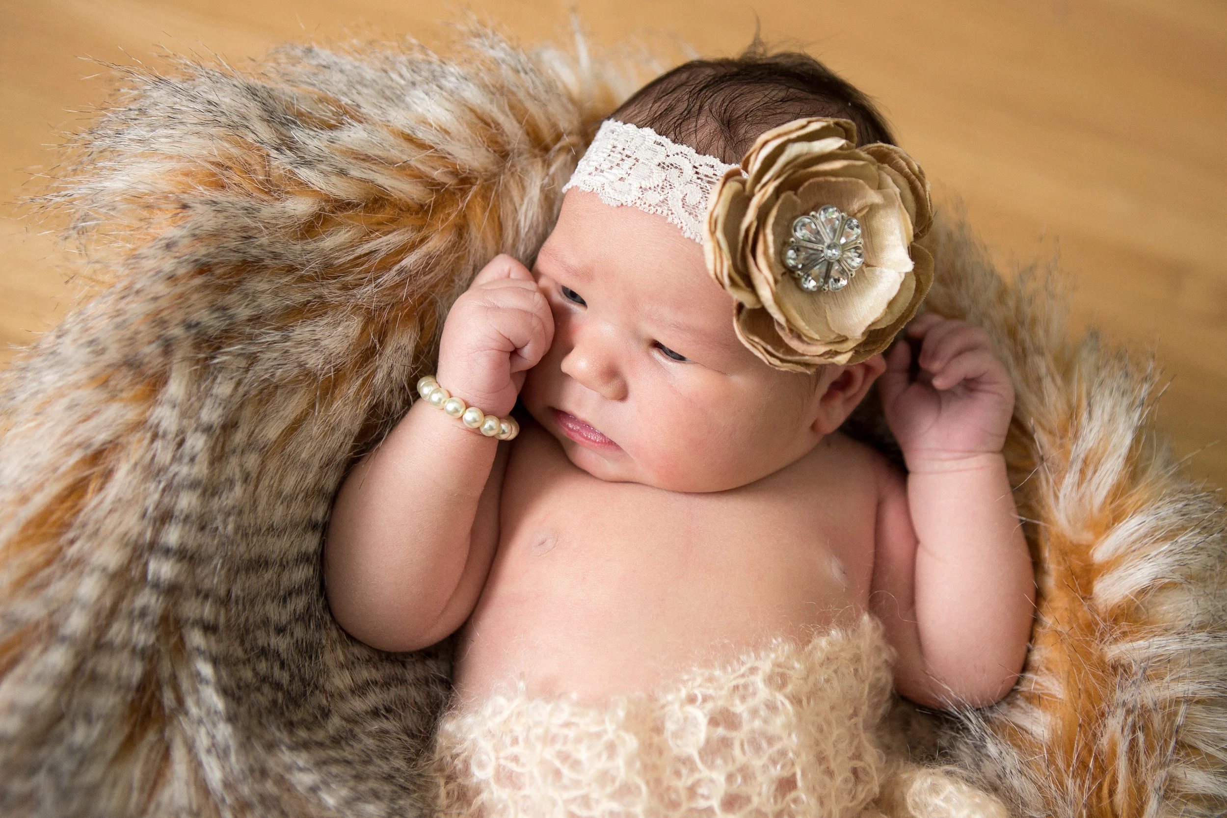 IMG_9259-2 copy