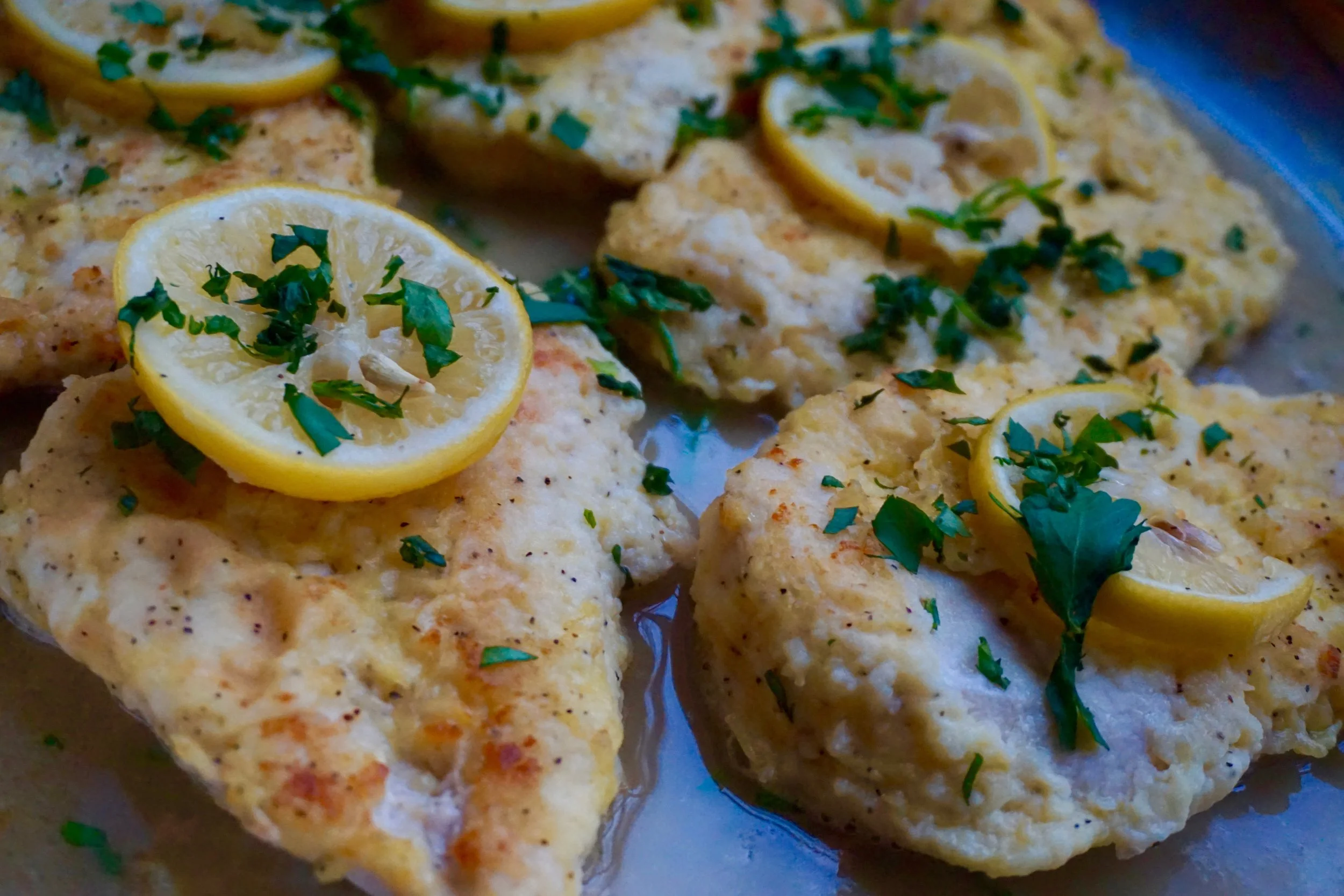 chicken francese .jpg