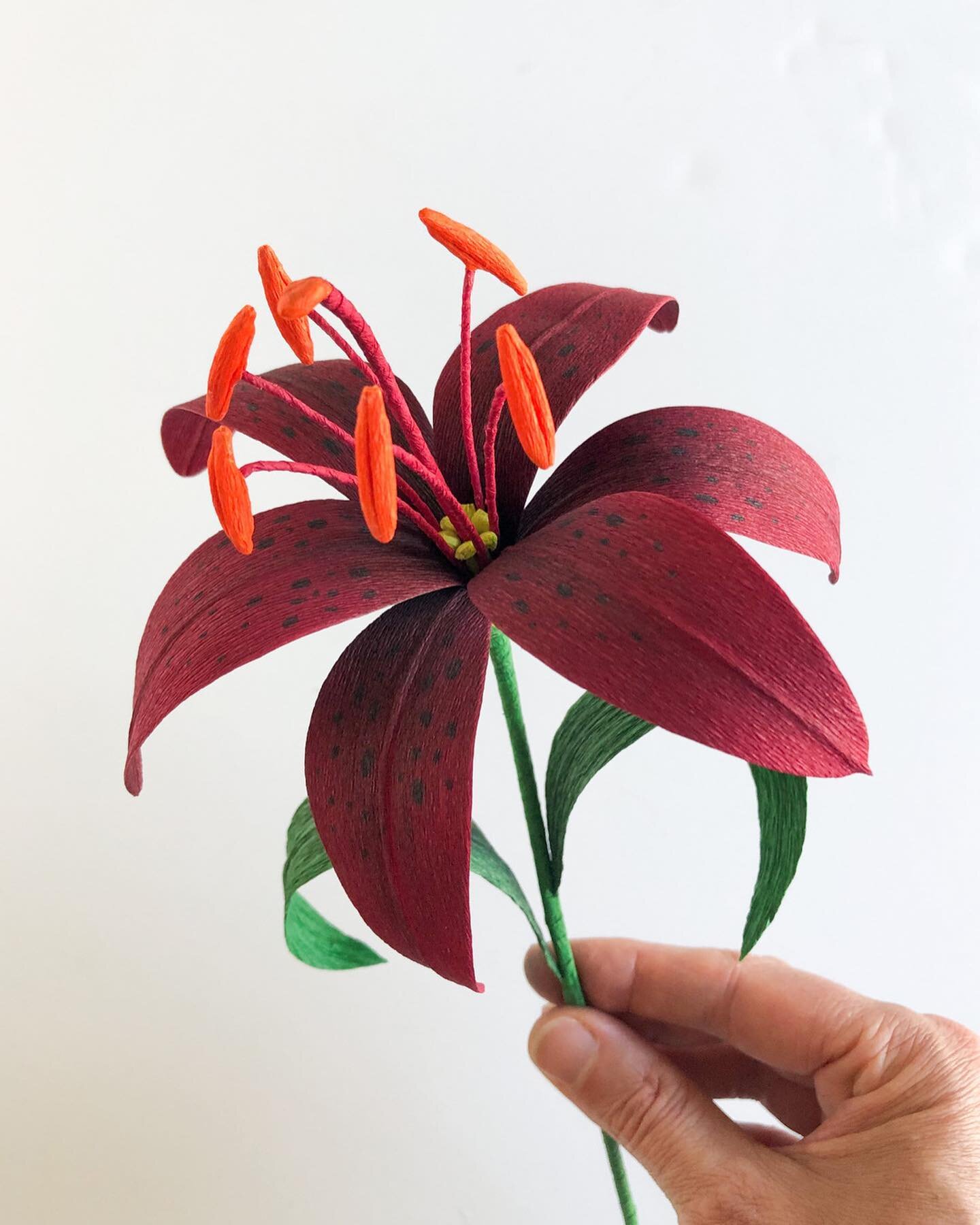 Coming up in September - I've got two in-person paper flower workshops at @wildcraftstudio in Portland - learn to make this beautiful red lily and this stunning striped camellia! Either of these workshops are suitable for beginners, yet are packed wi