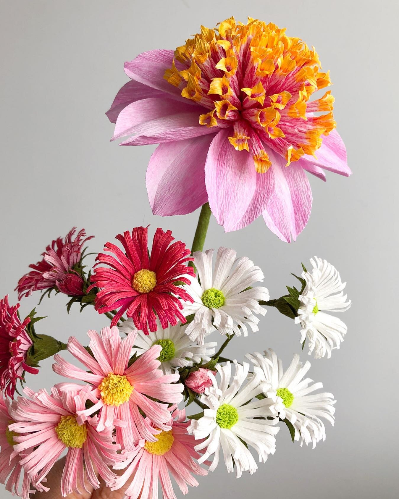 Time has just been flying by this summer! Last weekend, I went to visit @swanislanddahlias in Canby, Oregon. In their display garden, there was this beautiful anemone style dahila, Twilite - the inspiration for September's paper flower tutorial on my