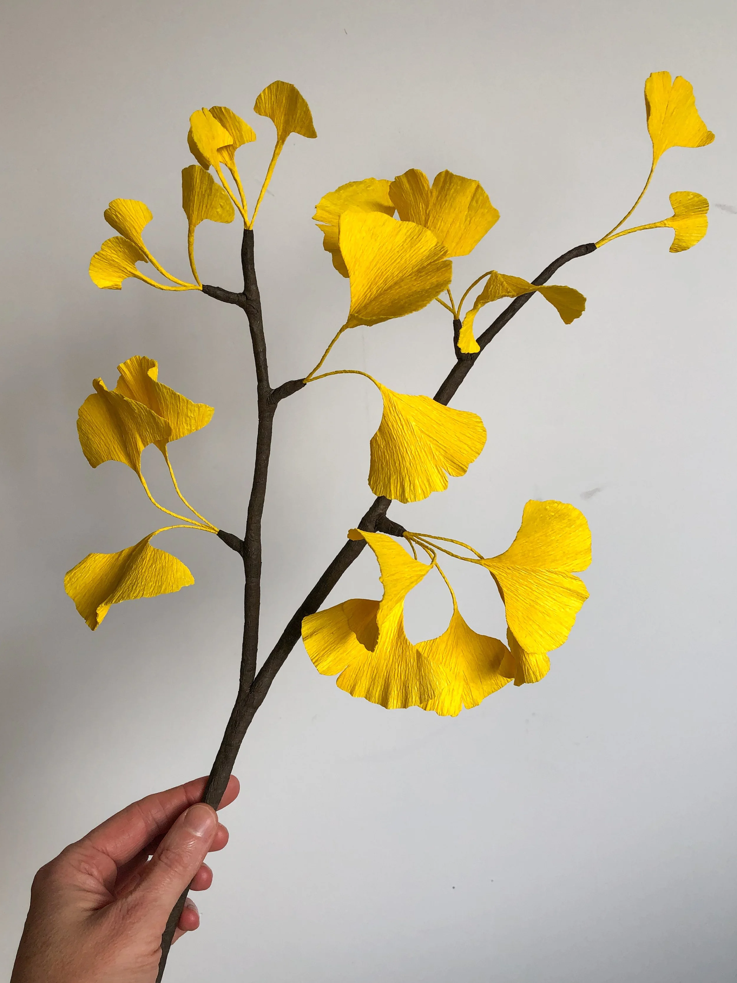 Single Stem - Ginkgo Branch