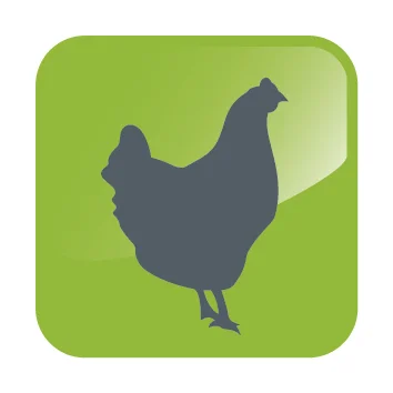 DHA ICONS-Chicken.jpg