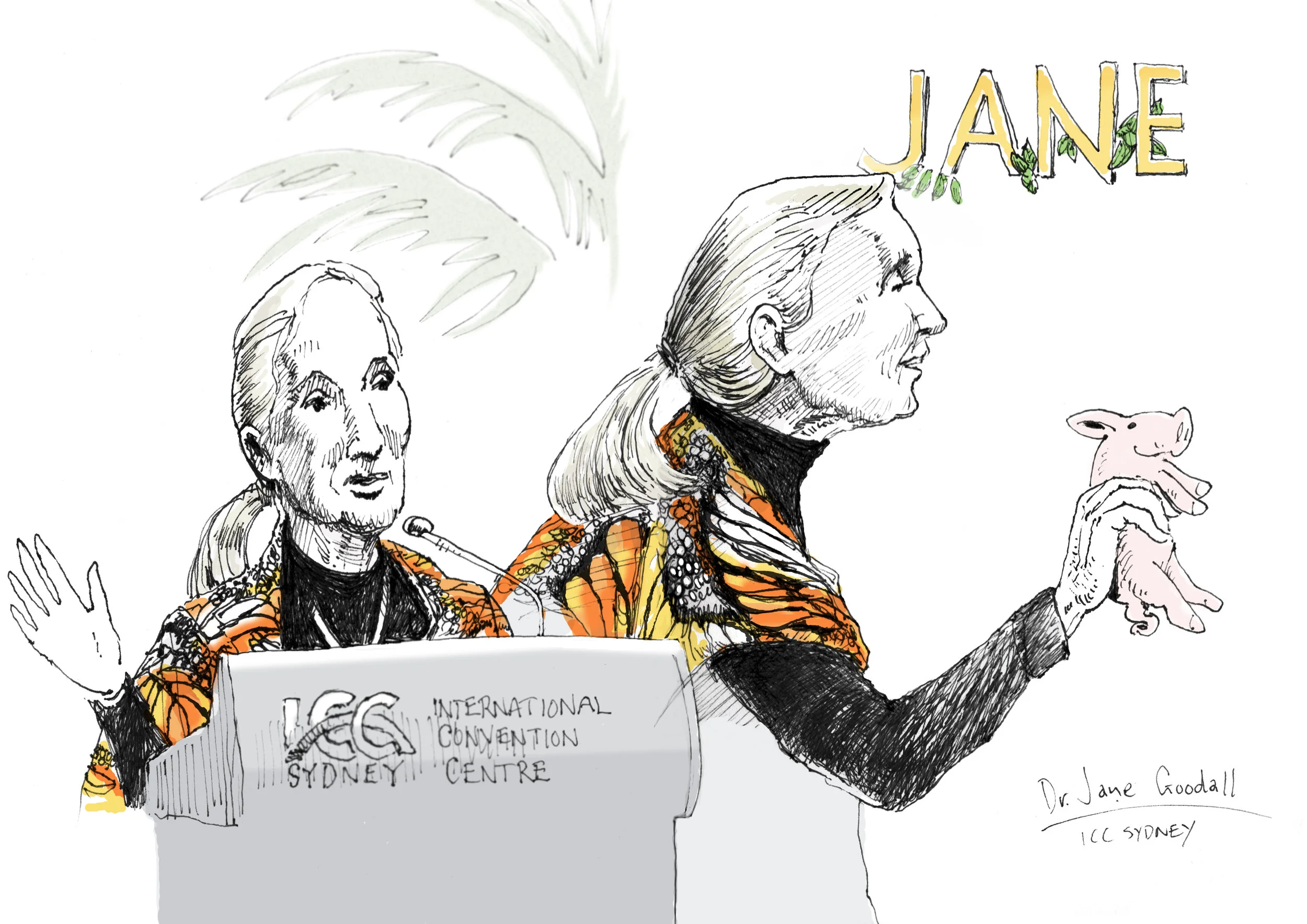 Jane Goodall 1.jpg