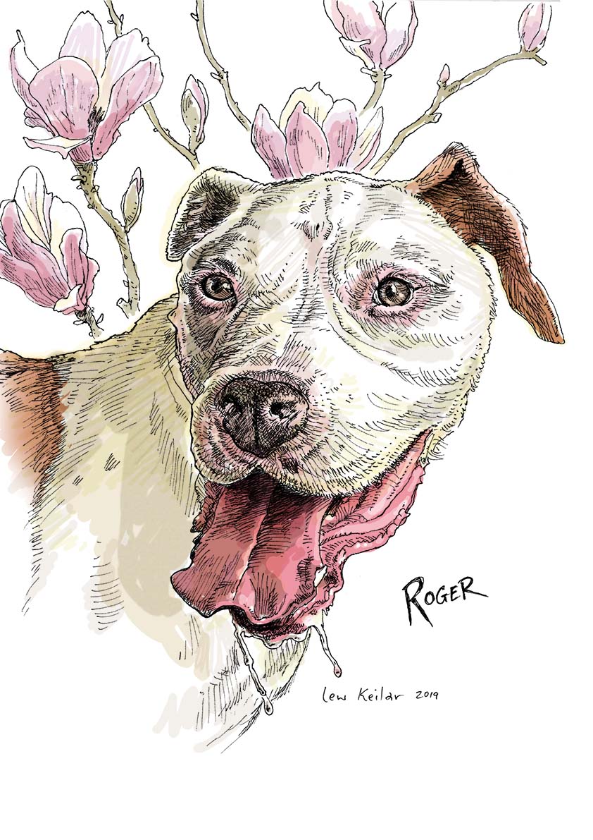 ROGER pet illustration.jpg