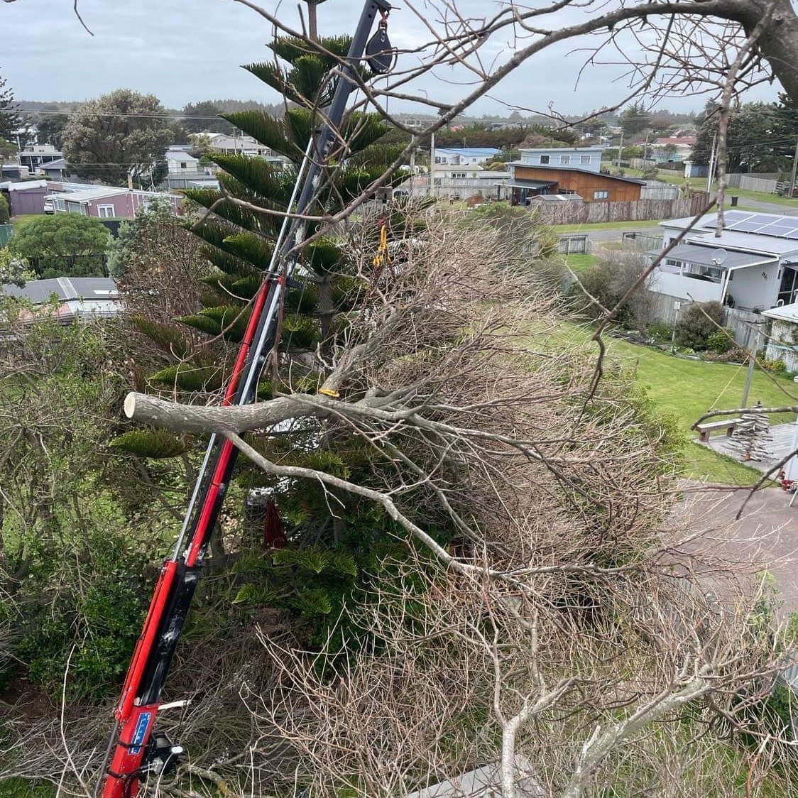 Some rough winds at Himatangi brought this Poplar down onto the neighbour's shed. Access was tight so we had Hooked Up Cranes Manawatu with their Hiab mounted Landcruiser there to assist.