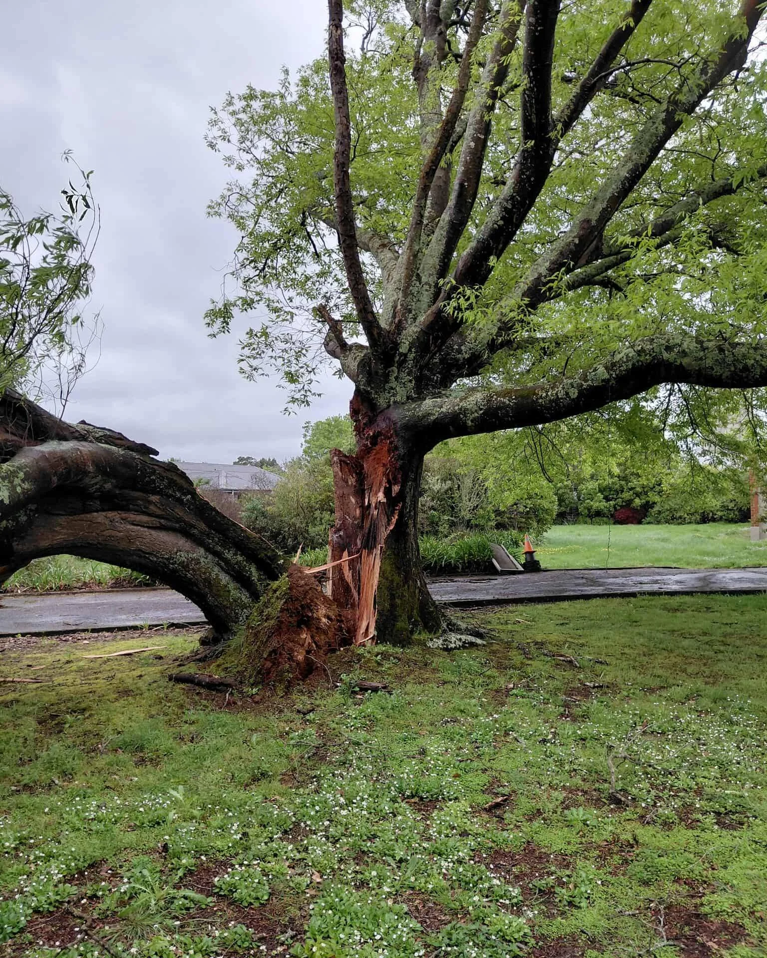 This spring weather seems to have everyone at breaking point. 💨🍃
