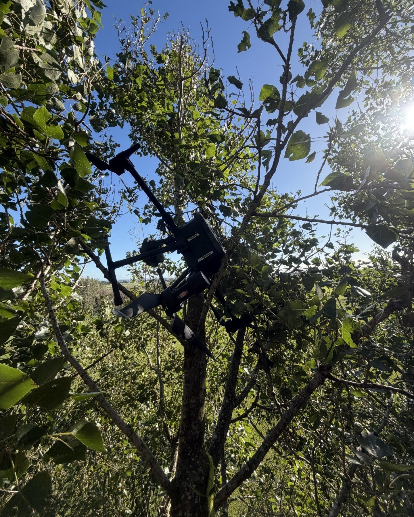 It's been a minute since our last cat rescue, but we decided to mix it up and be on drone duty instead. This bad boy was caught right at the tips of a 40m Poplar! 
Unlike our furry friends, this was a very calm descent. No scratches, no cattitude. Wi