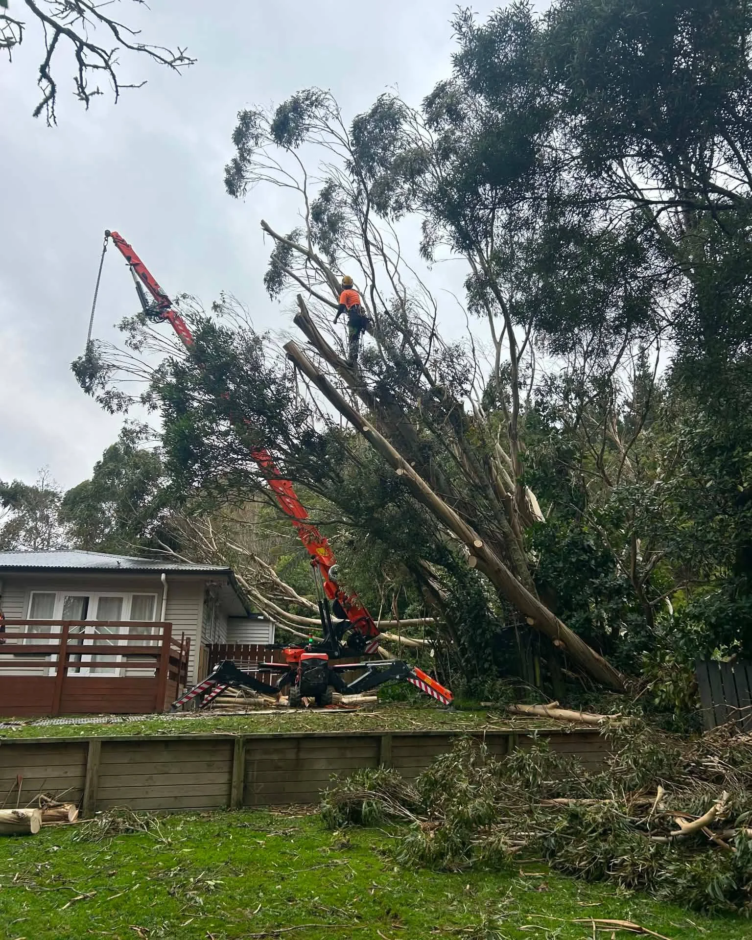 What's a Manawatū autumn without a sprinkling of storm damage? We got you.🌪🤝