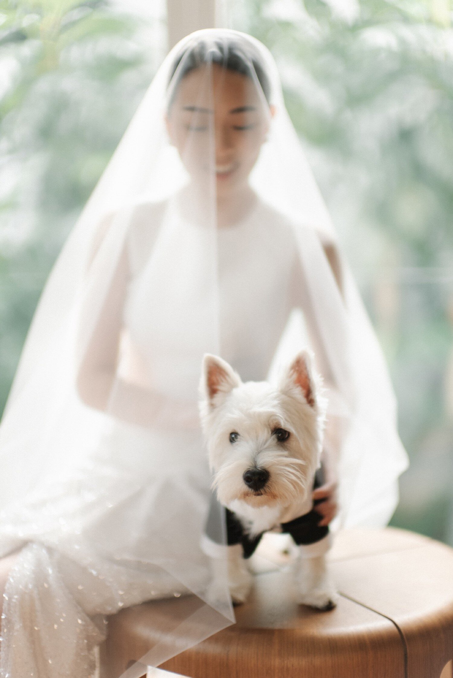 carol kuntjoro photography backyard wedding 2020-110.jpg