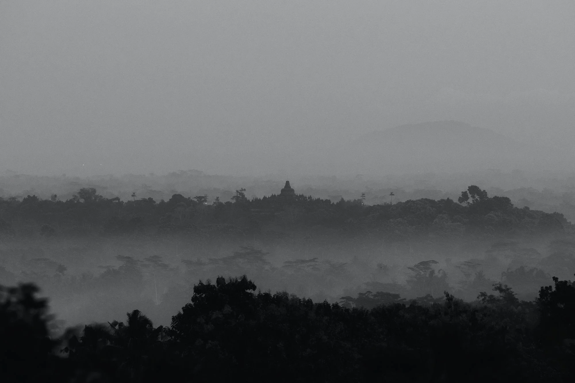 Evan Natasha Amanjiwo Wedding by Carol Kuntjoro Photography-1.jpg