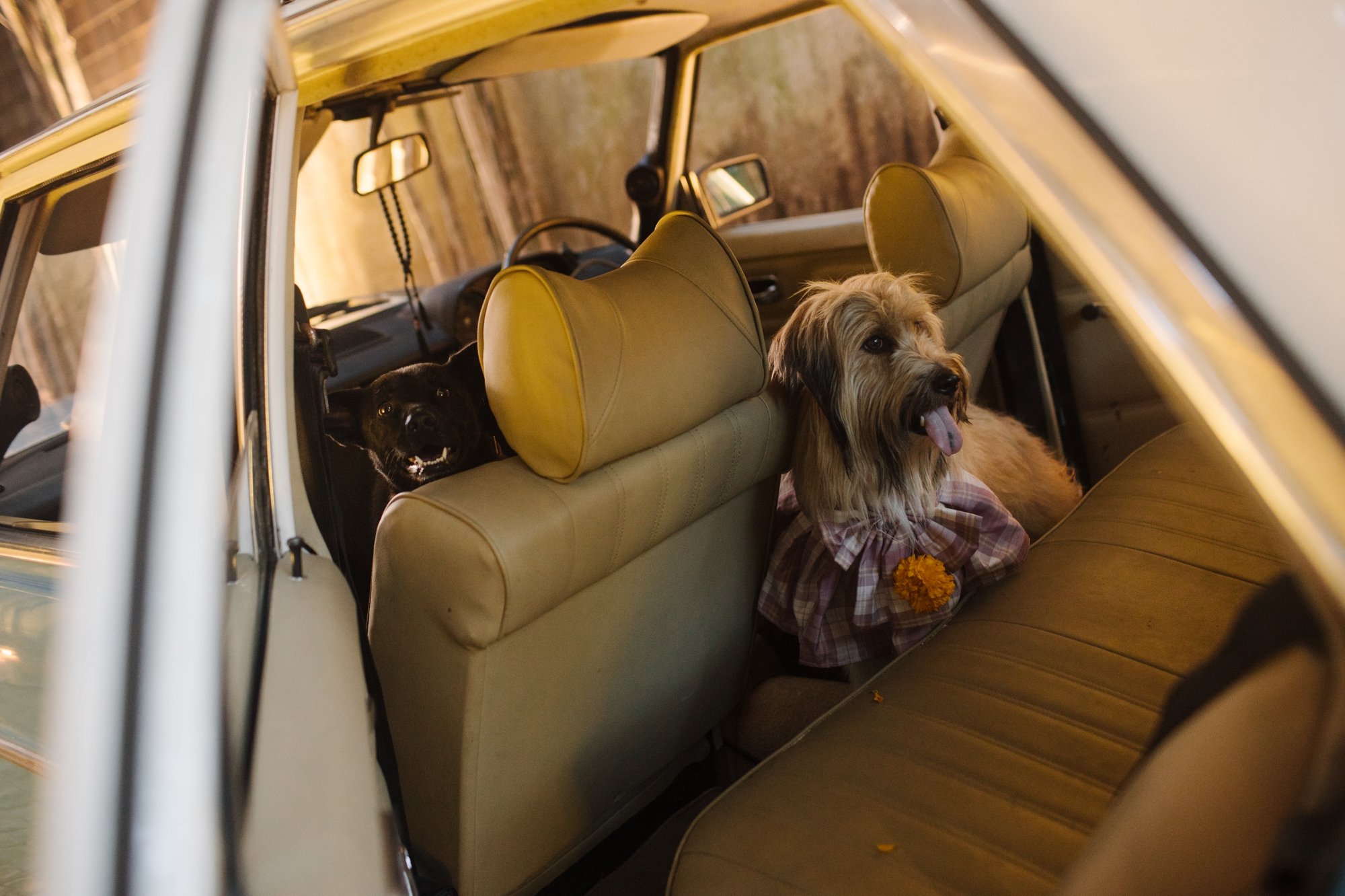 Jason Cindy Ubud Wedding by Carol Kuntjoro Photography-68.jpg