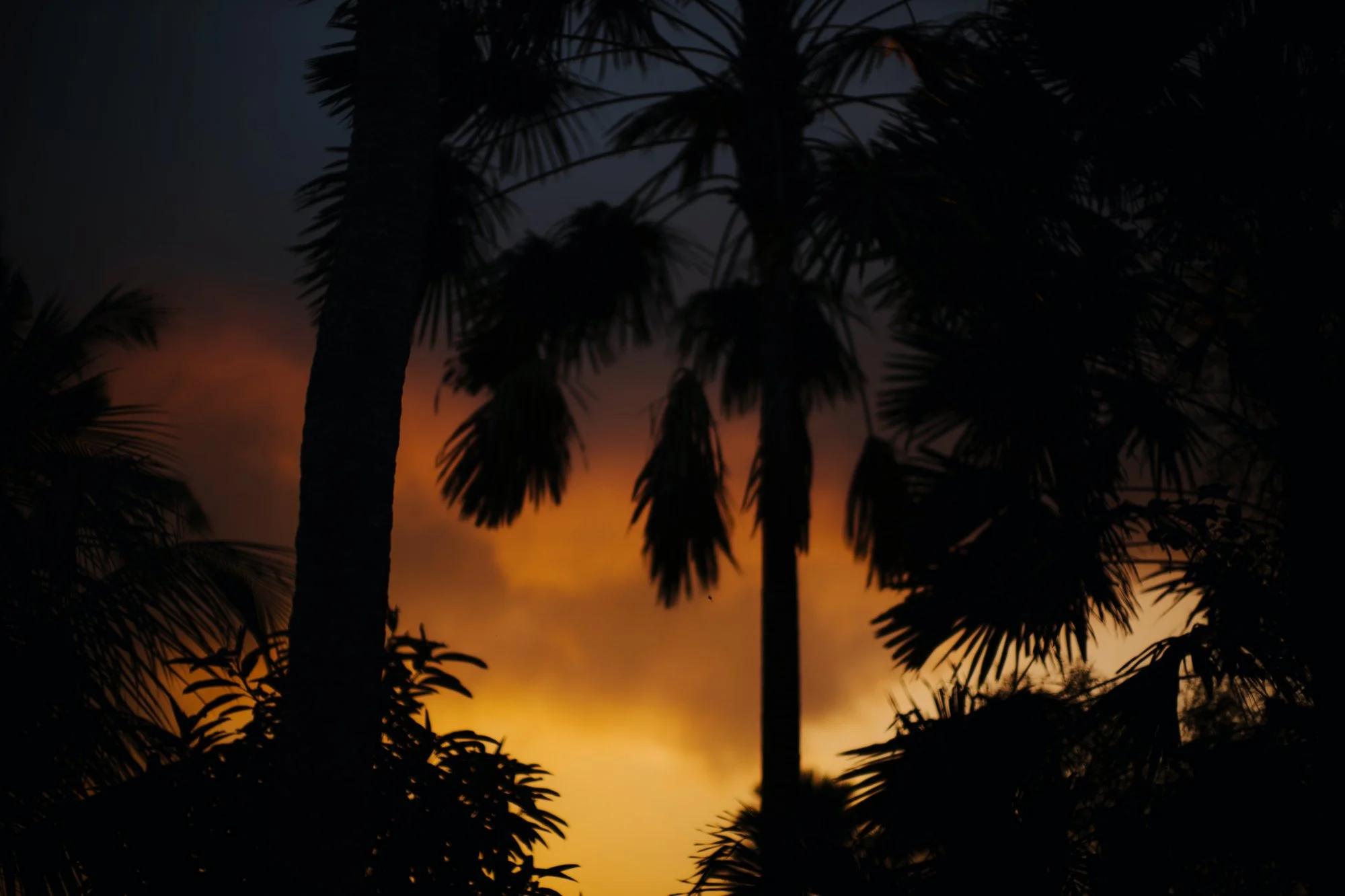 Jason Cindy Ubud Wedding by Carol Kuntjoro Photography-70.jpg