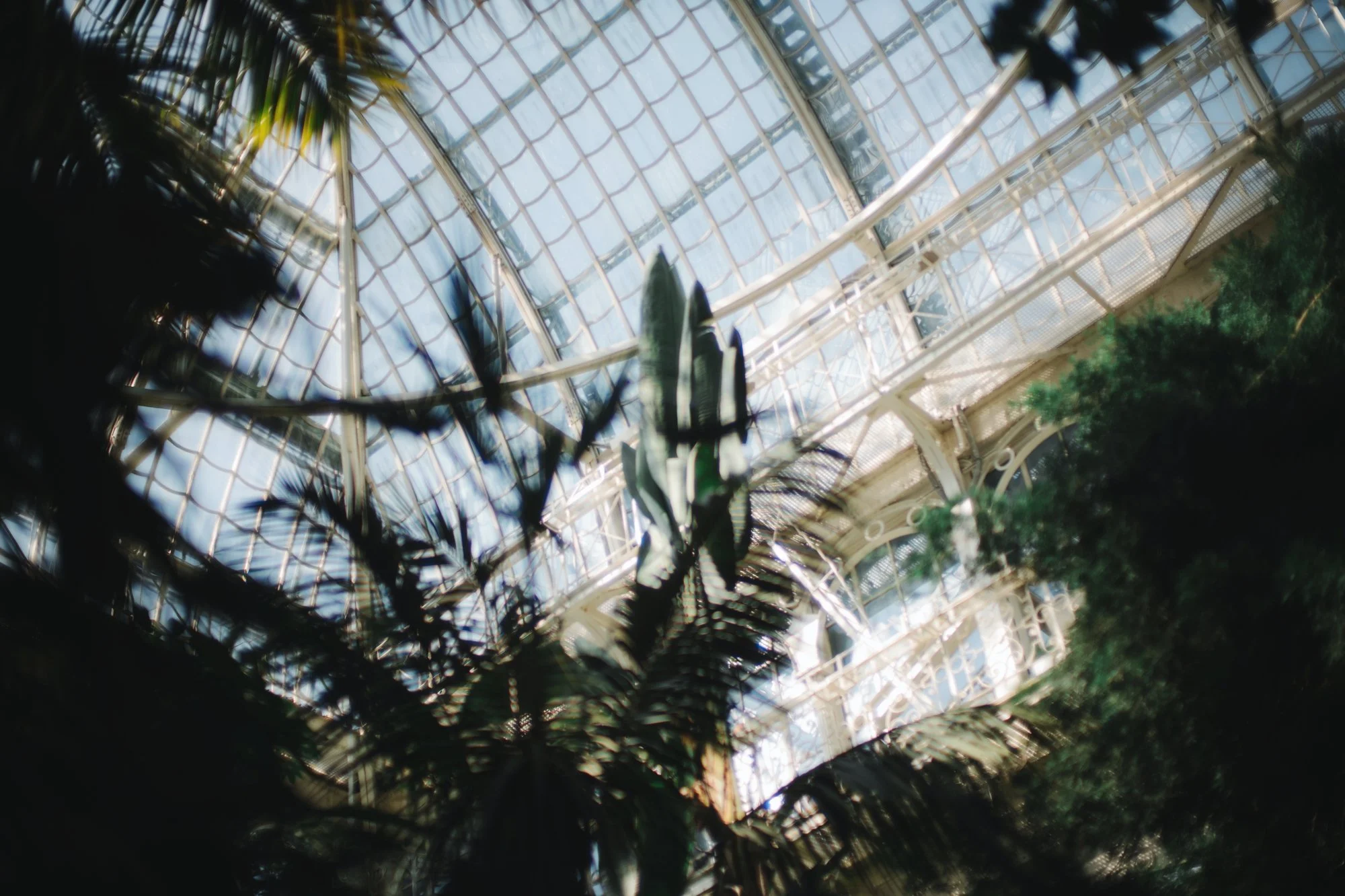 Sandy Jovita Austria Engagement Session by Carol Kuntjoro Photography-16.jpg