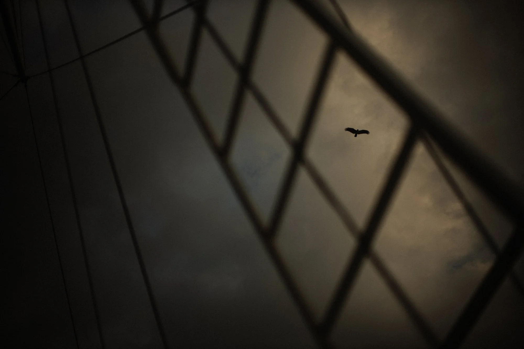 Eric Lupita Labuan Bajo Engagement Session by Carol Kuntjoro Photography-89.jpg