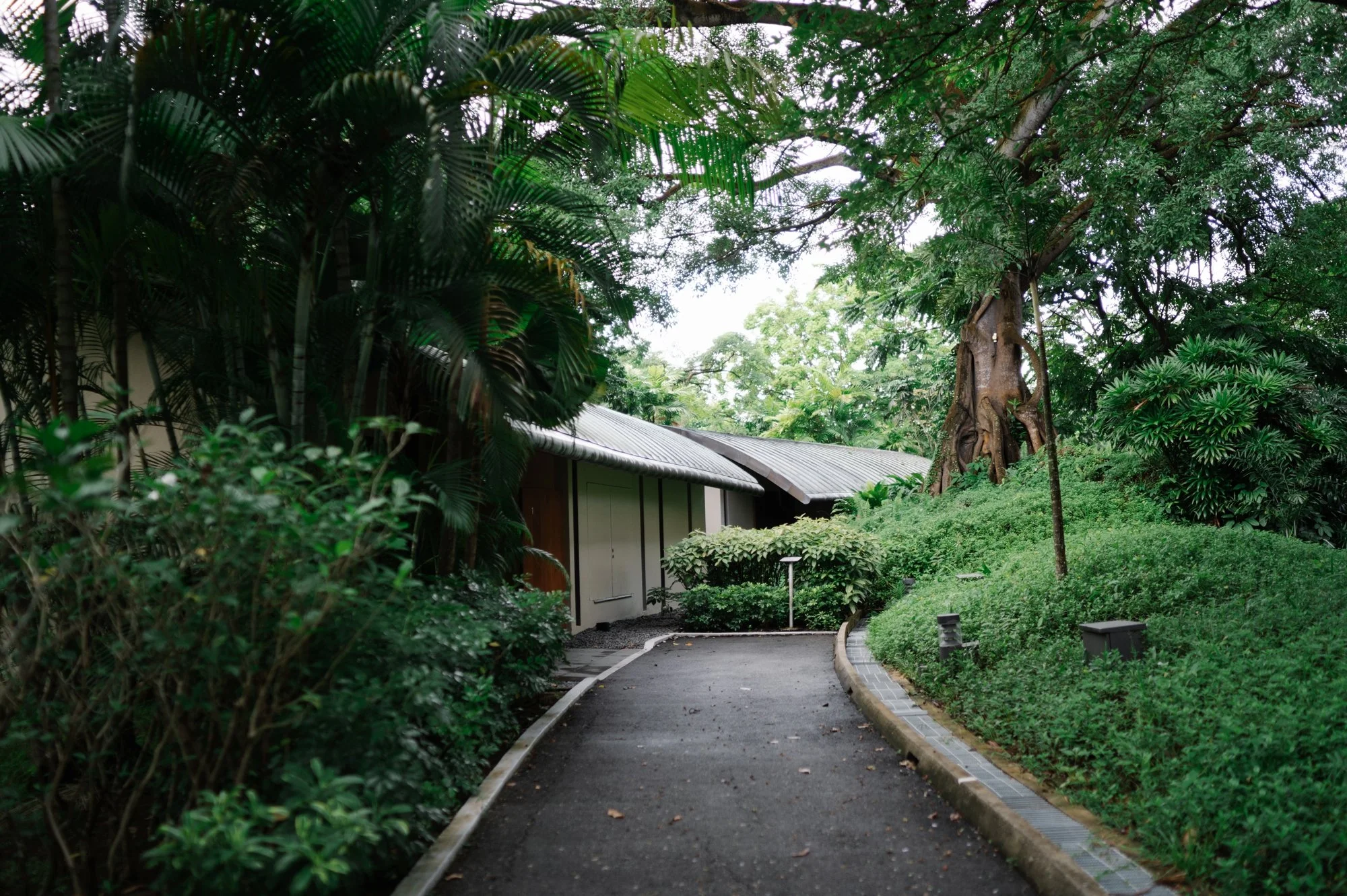 MJ Tanya Singapore Bali Wedding by Carol Kuntjoro photography Capella Apurva Kempinski-1.jpg