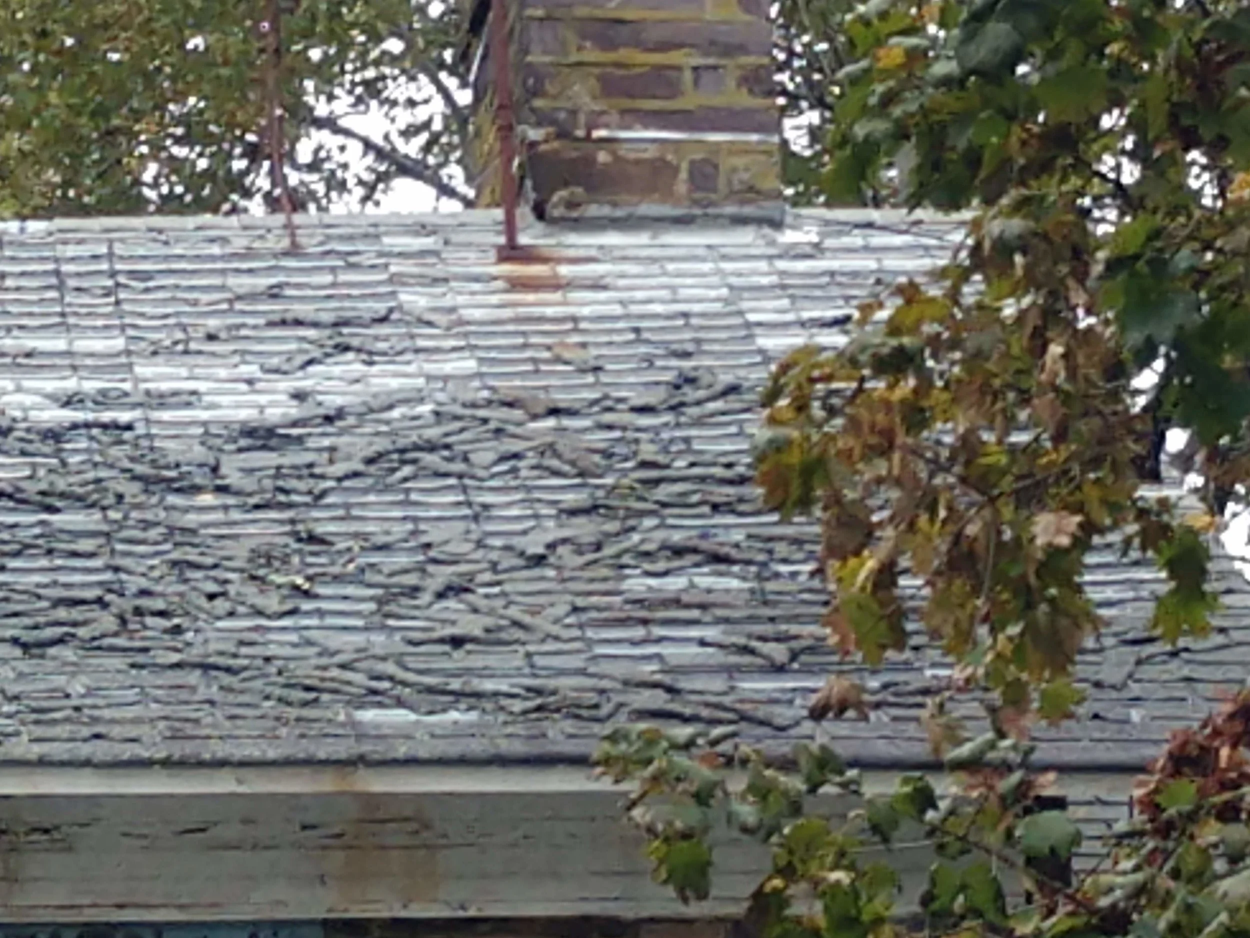 1744 roof existing conditions