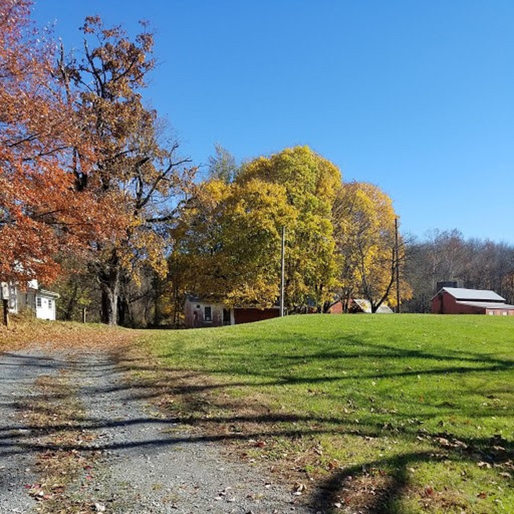 View from the road.