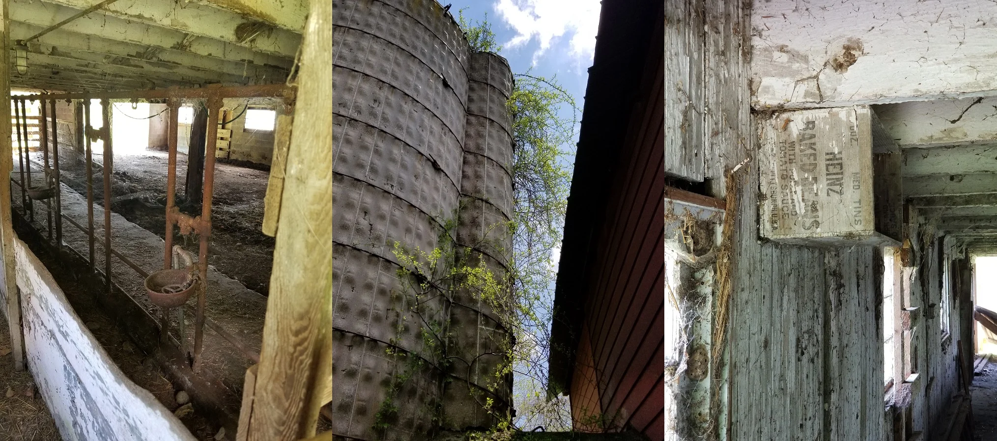 Inside of the dairy barn; looking up at the silo; random Heinz Baked Beans box screwed to the wall