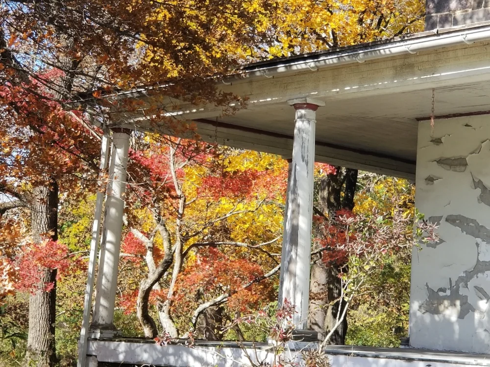 20181103_130405.jpg
