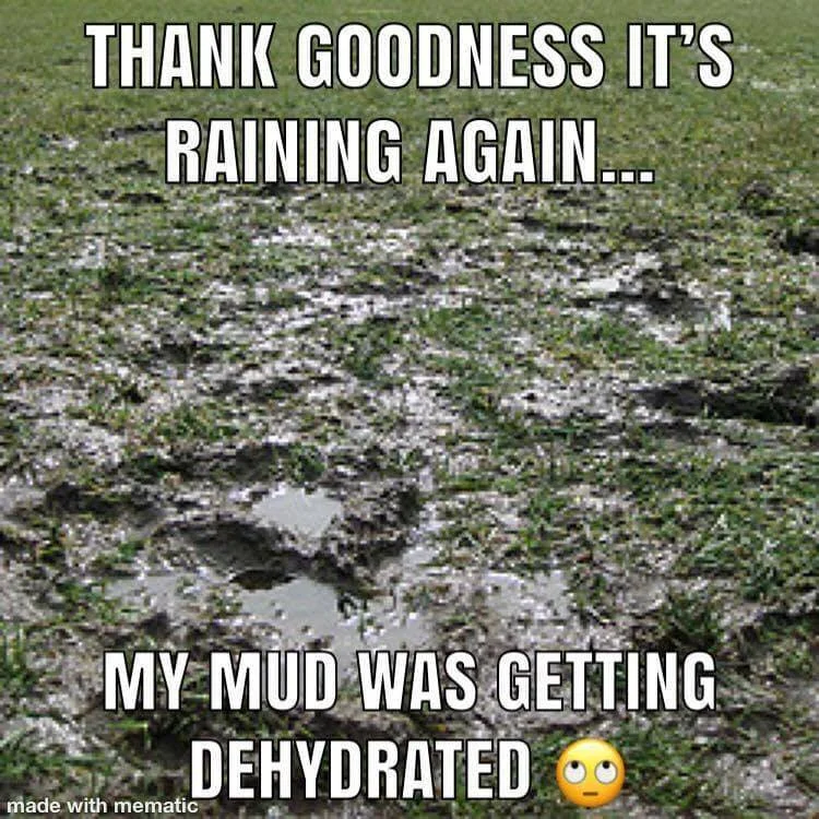 Mud.jpg