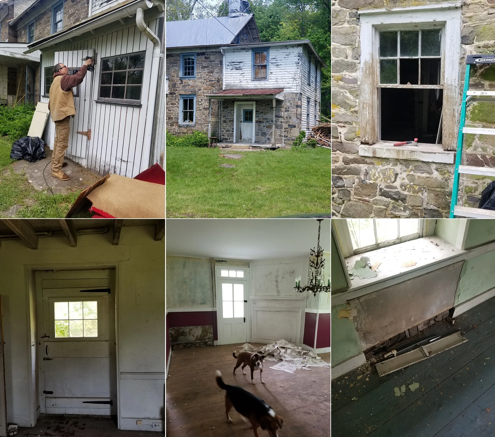 Clockwise: Taking down the porch enclosure; Porch looks much better open; A window in the middle of restoration; Radiators for the 1930’s removed; Much more light in the library with the plywood off the door. The wallpaper coming down is a bonus. Nutmeg and Coco helped.; The Dining room door also sans plywood. The room is certainly brighter now.