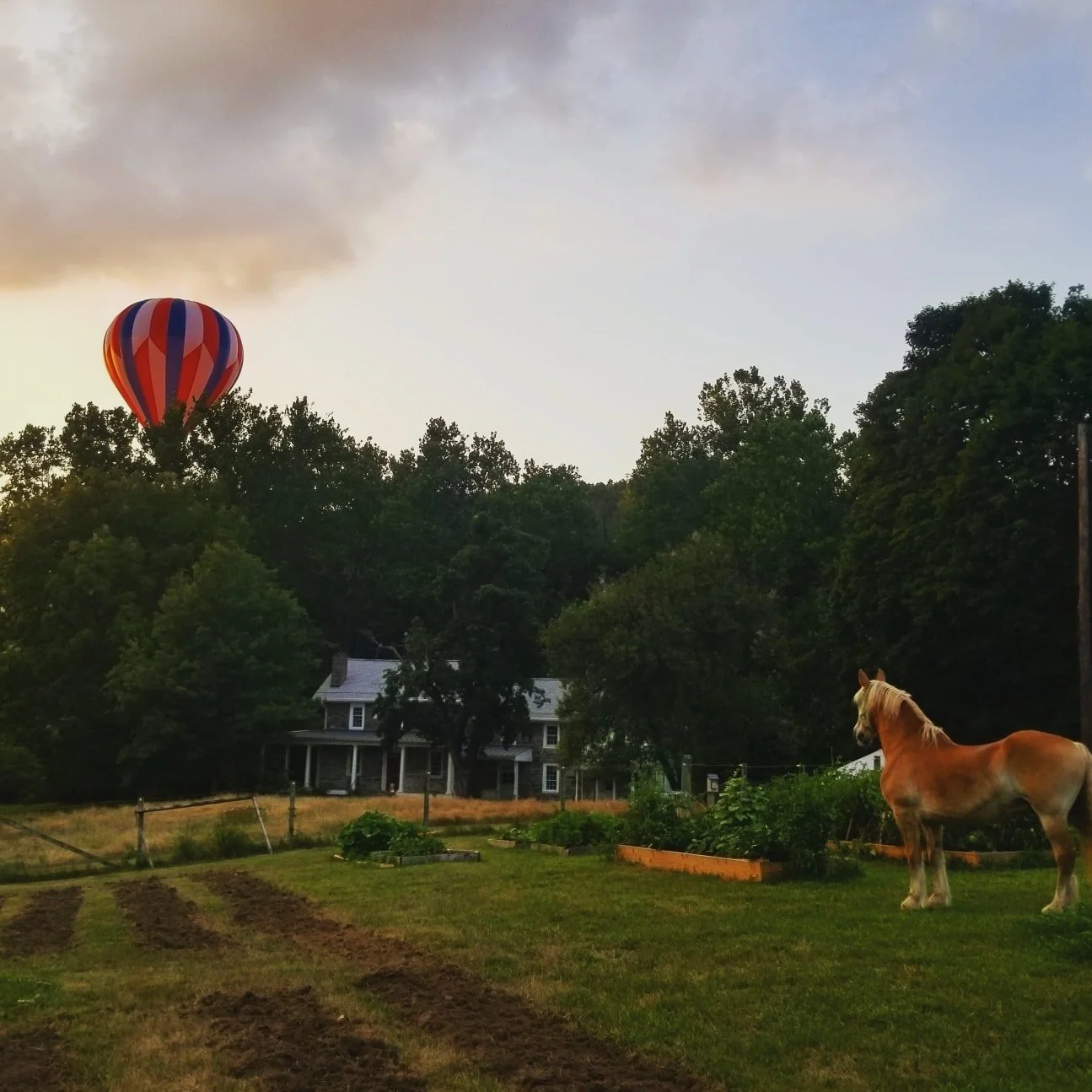 hotair balloon.jpg