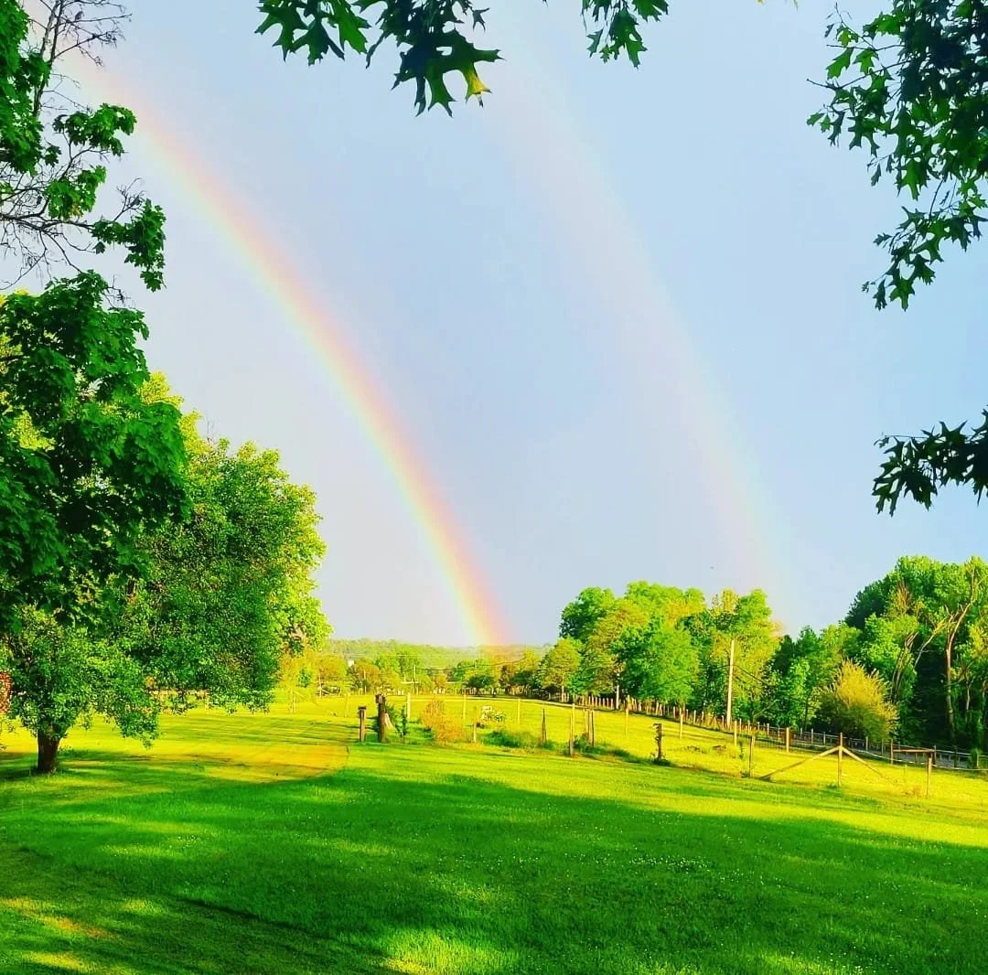 double rainbow.jpg